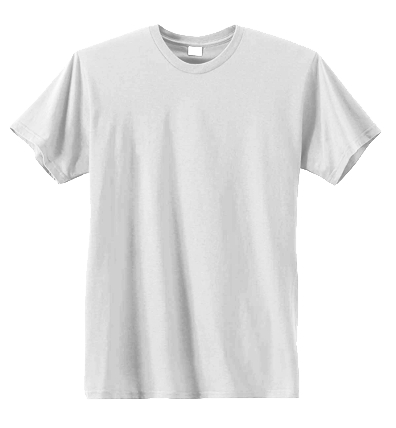 Hanes 100% Ringspun Cotton Tee