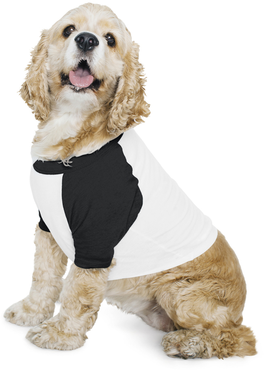 Poly-Cotton 3/4-Sleeve Raglan Dog T-Shirt