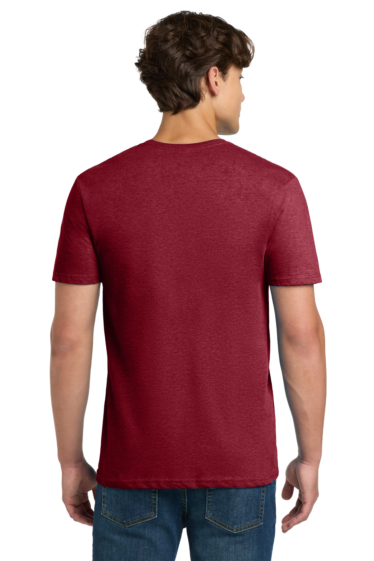 Model Back