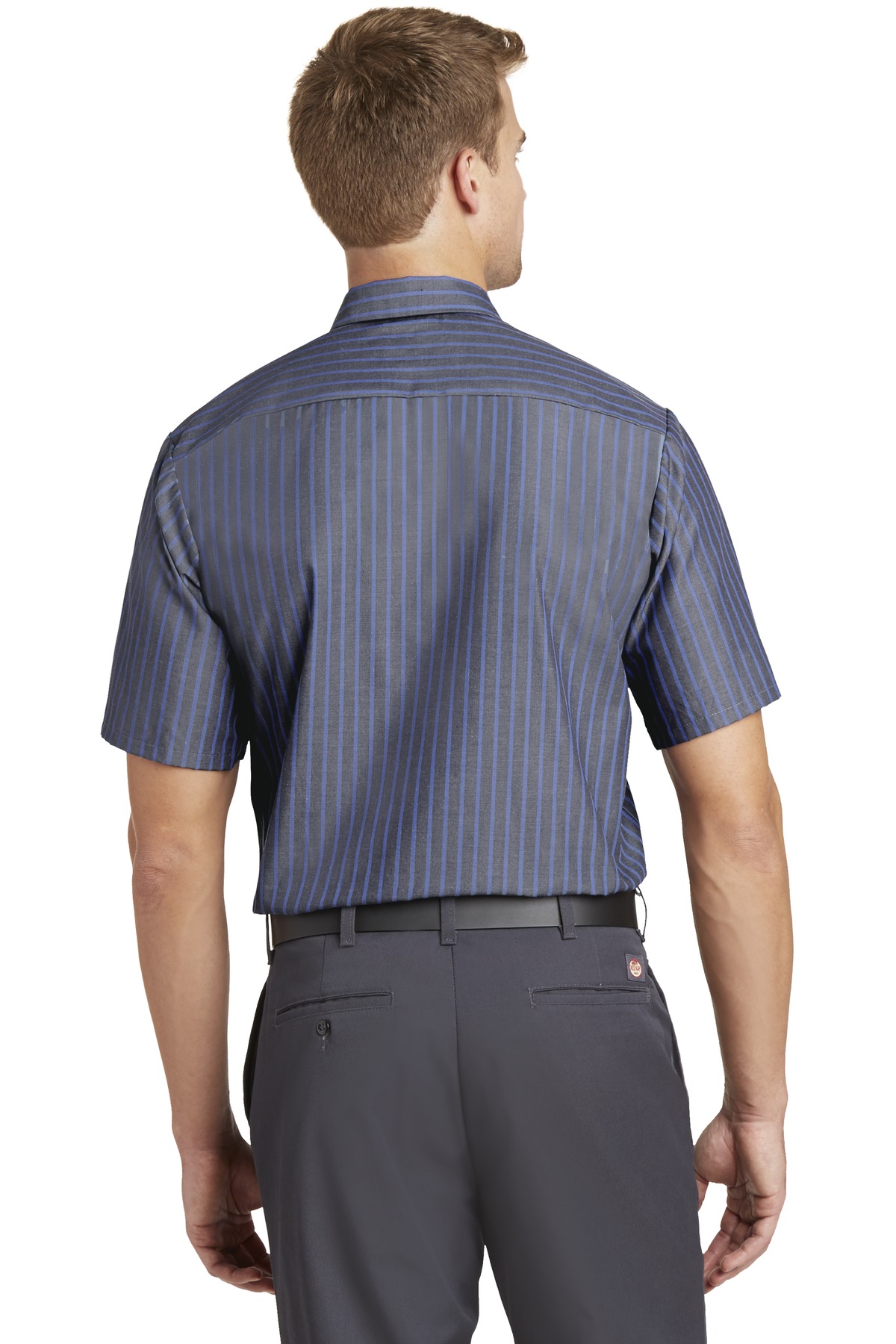 Model Back