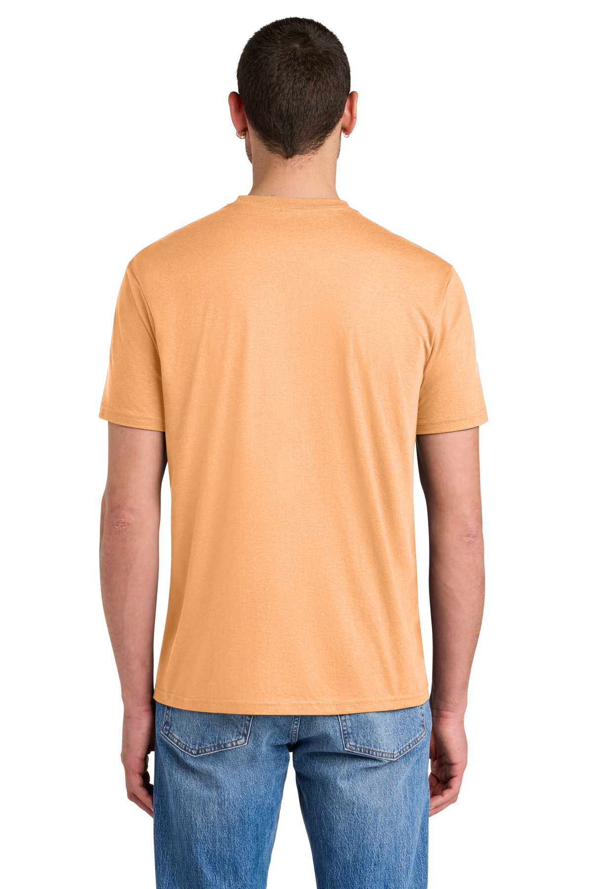 Model Back