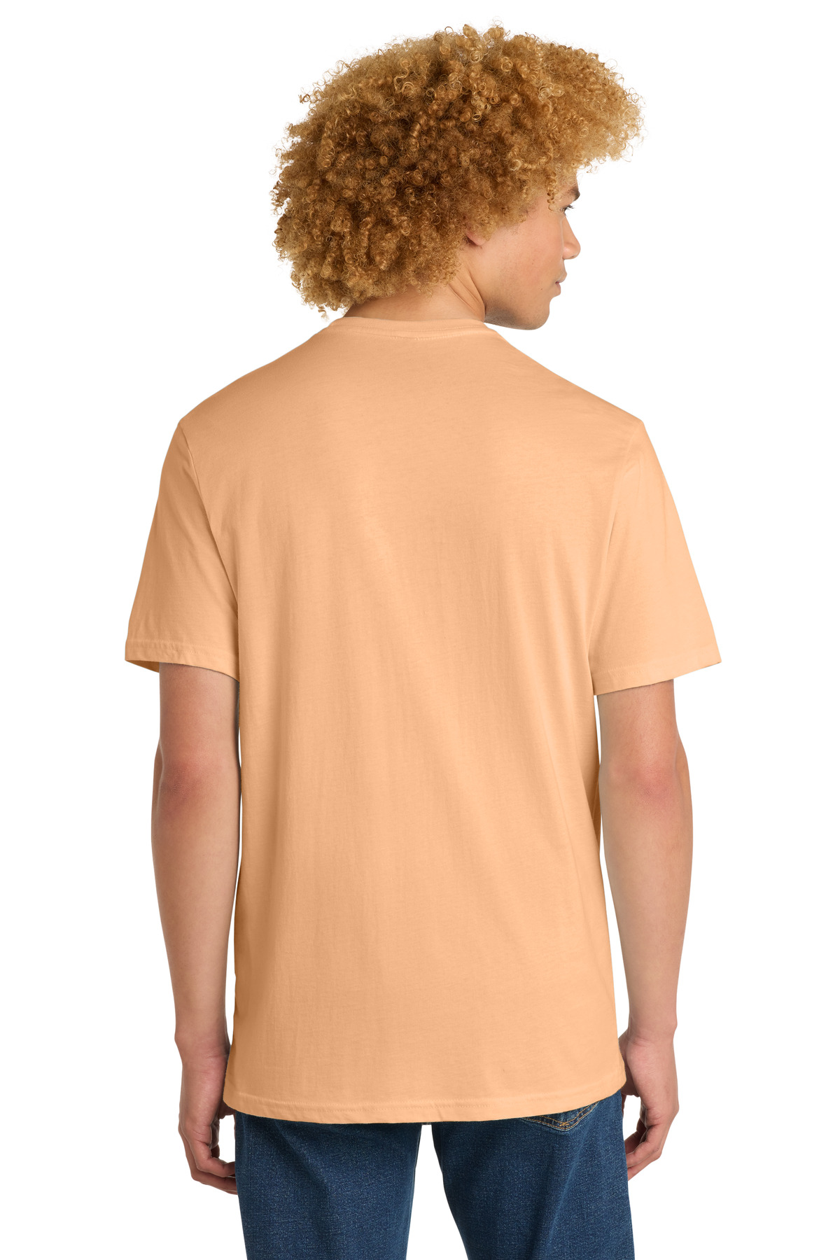 Model Back