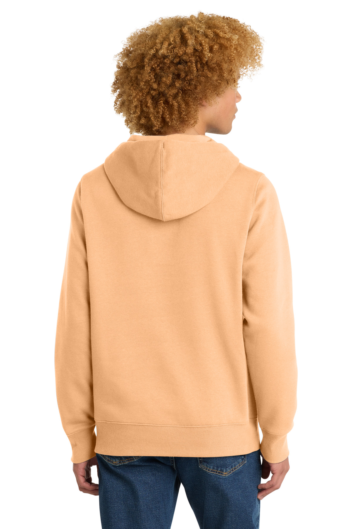 Model Back