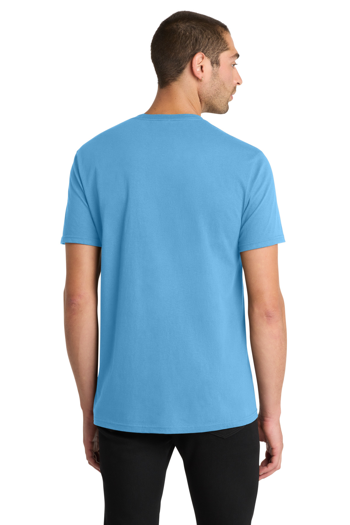 Model Back