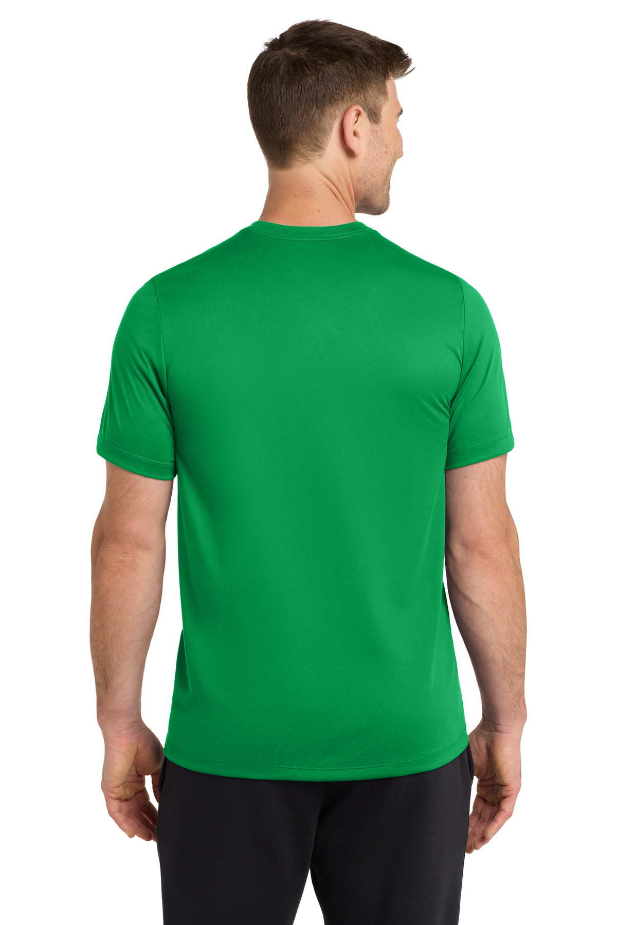 Model Back