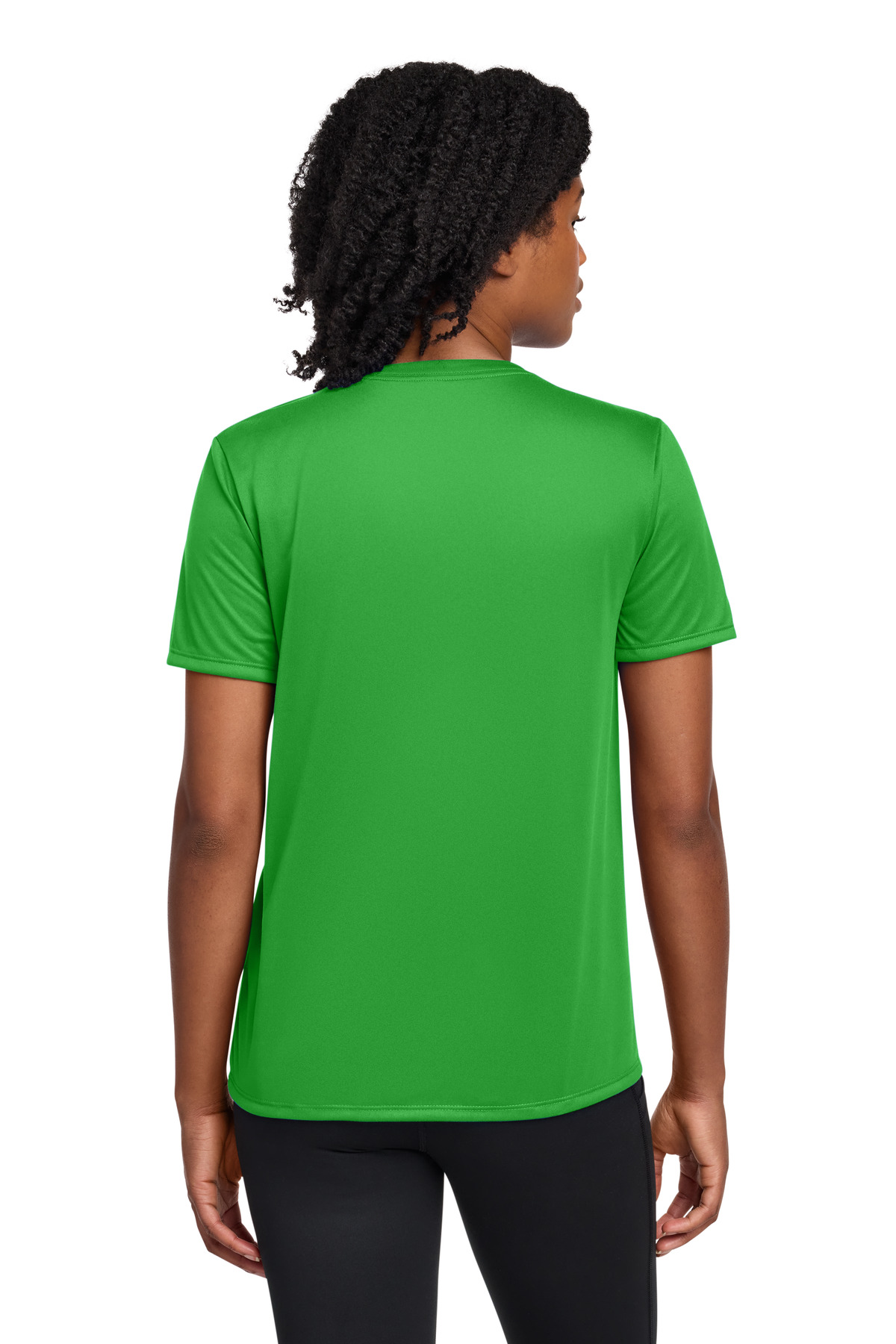 Model Back