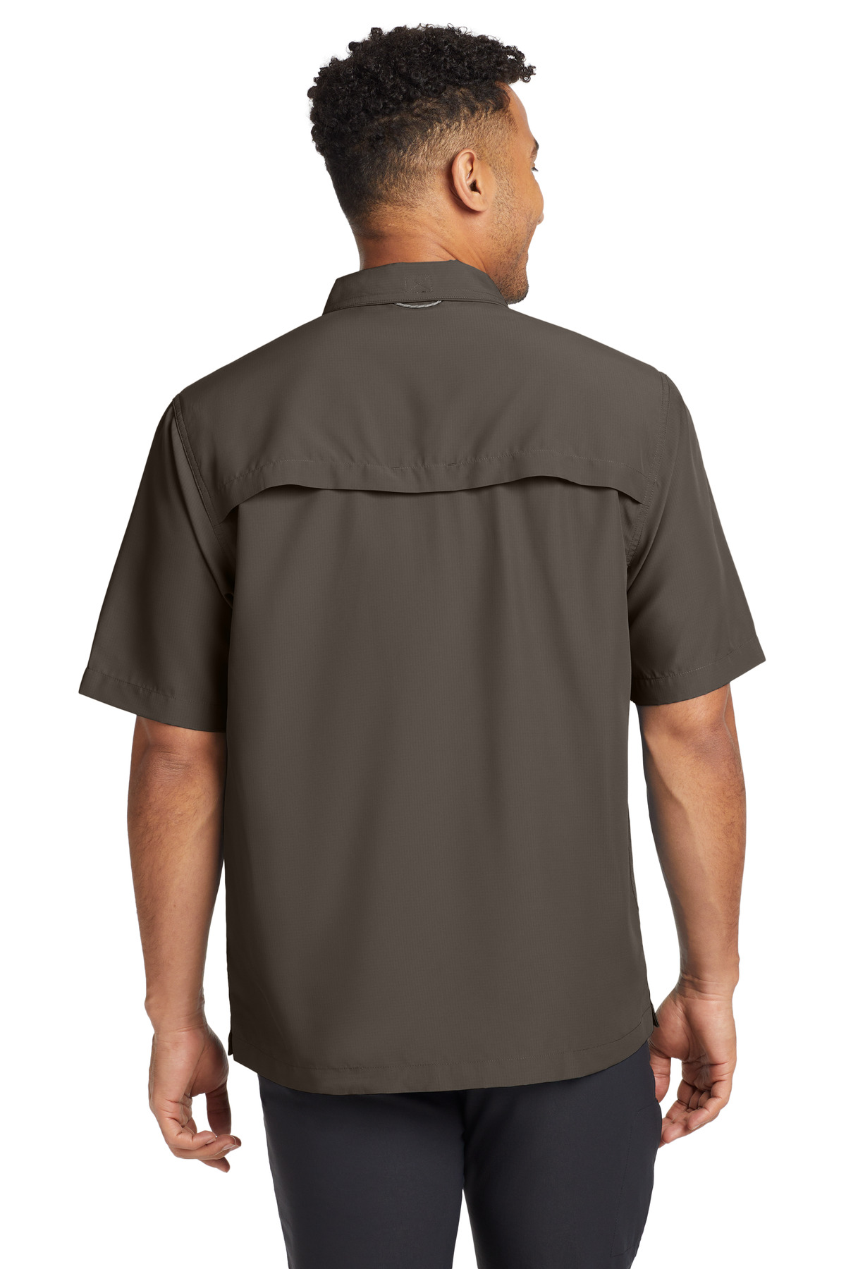 Model Back