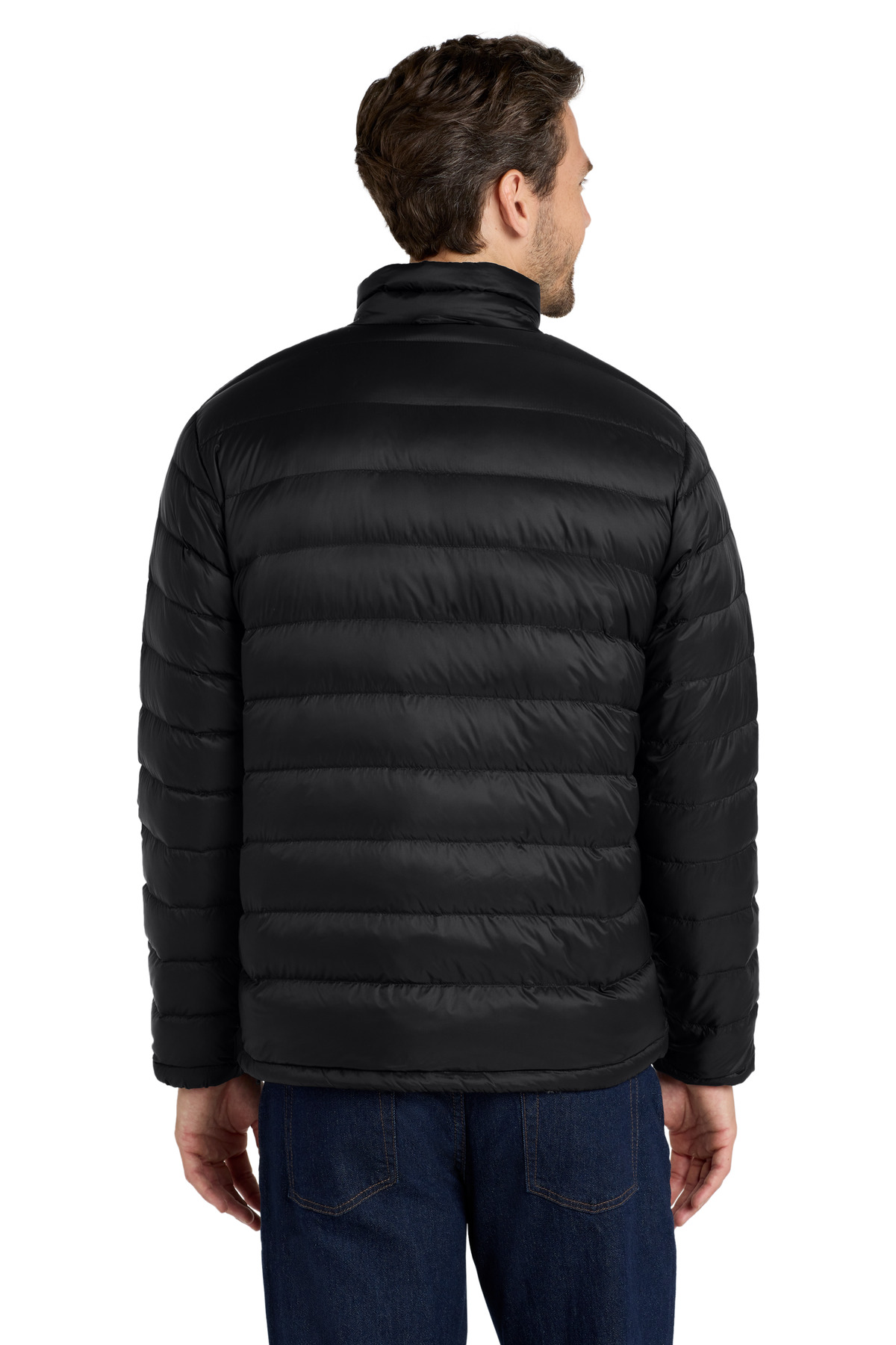 Model Back