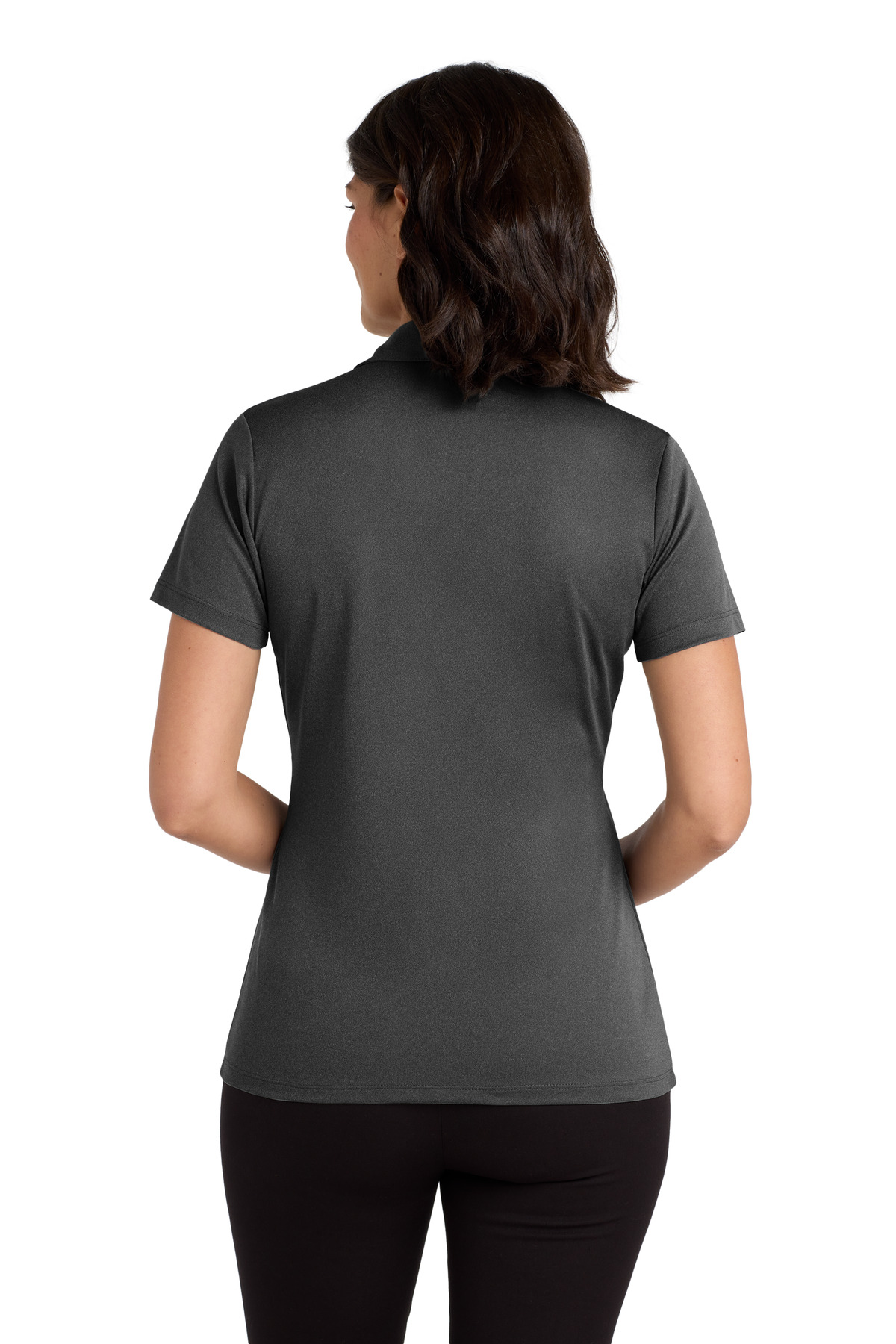 Model Back