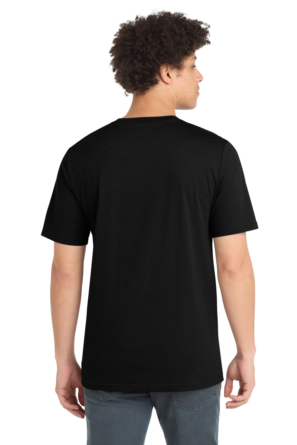Model Back