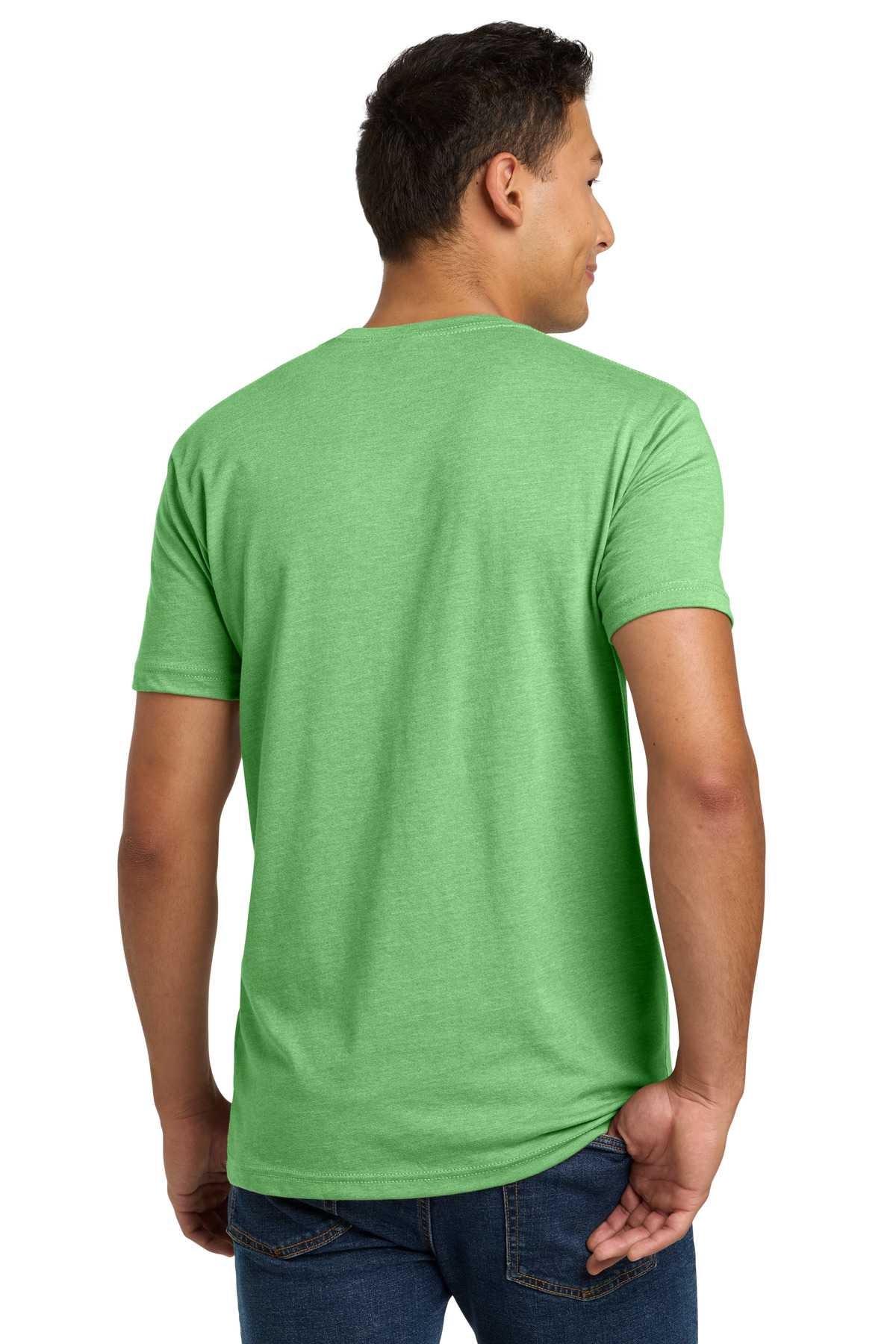 Model Back