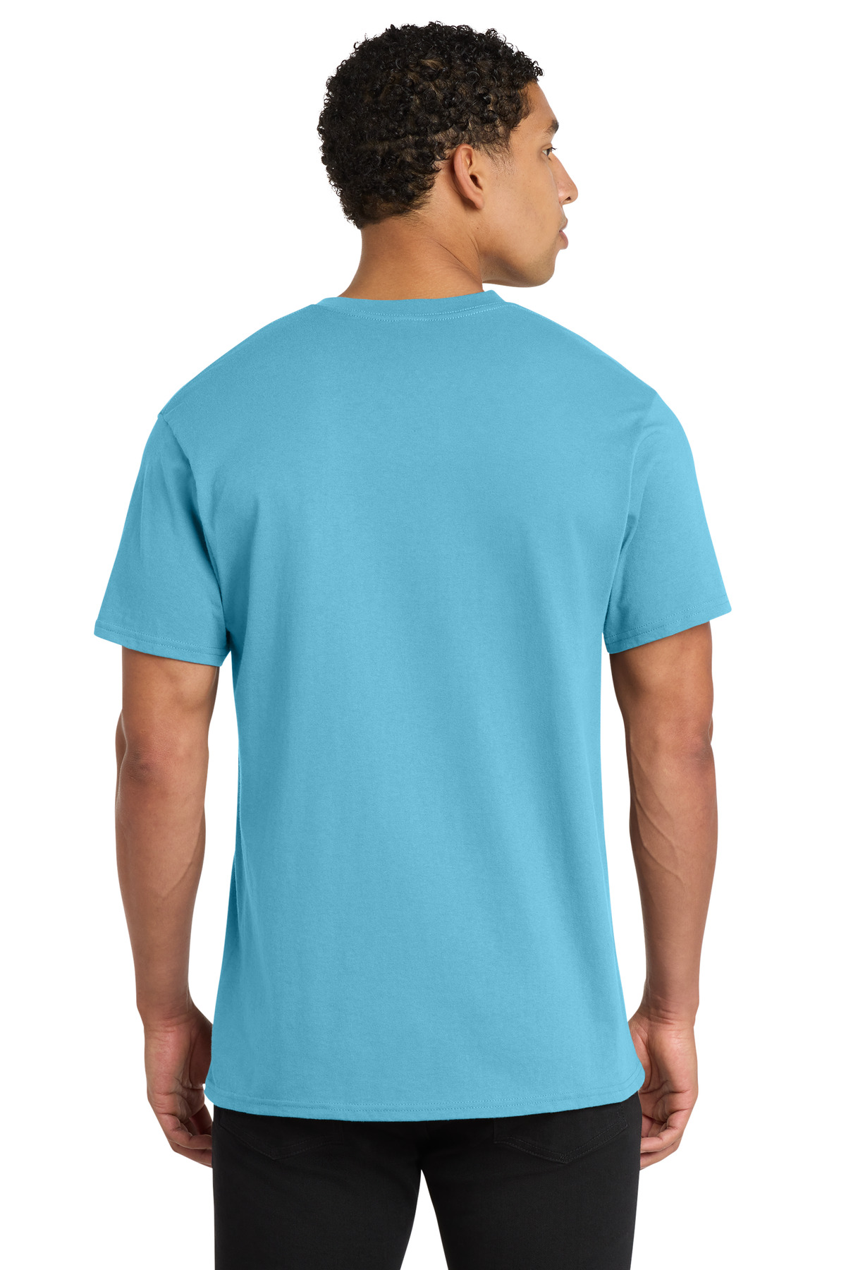 Model Back