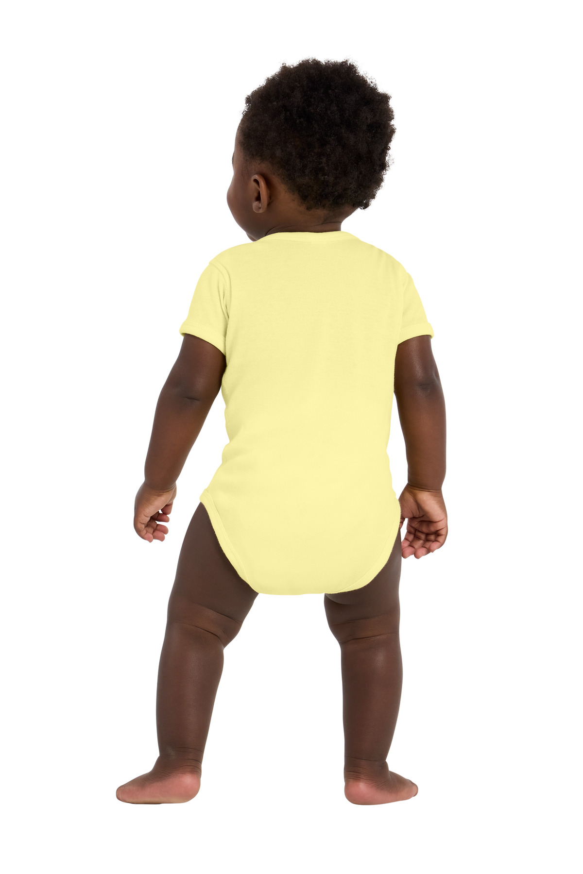 Model Back