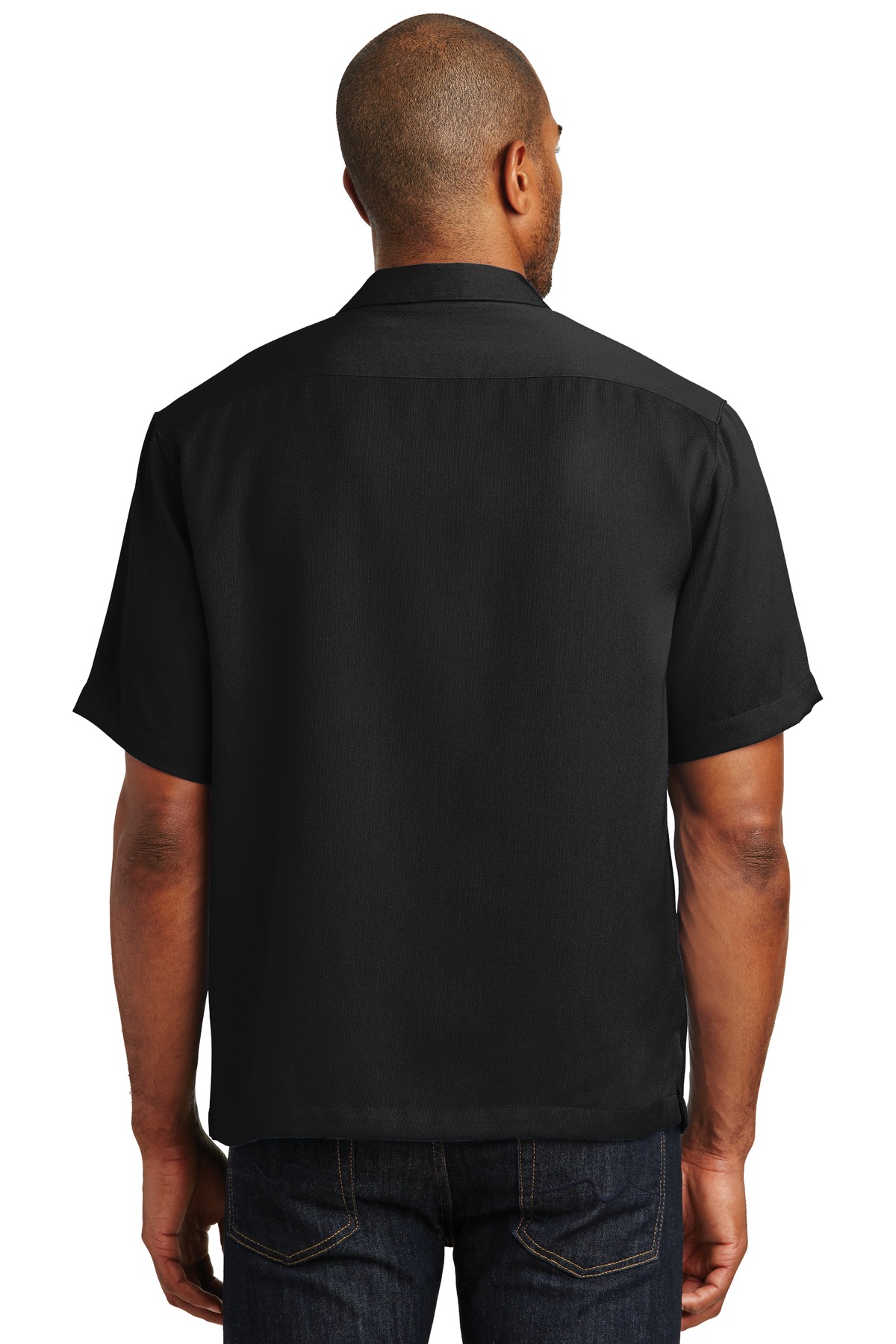 Model Back