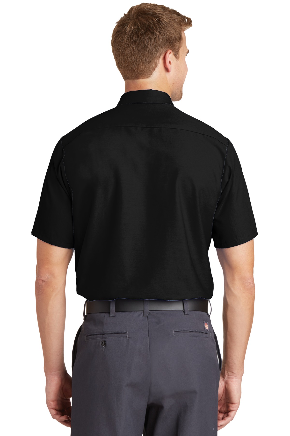 Model Back