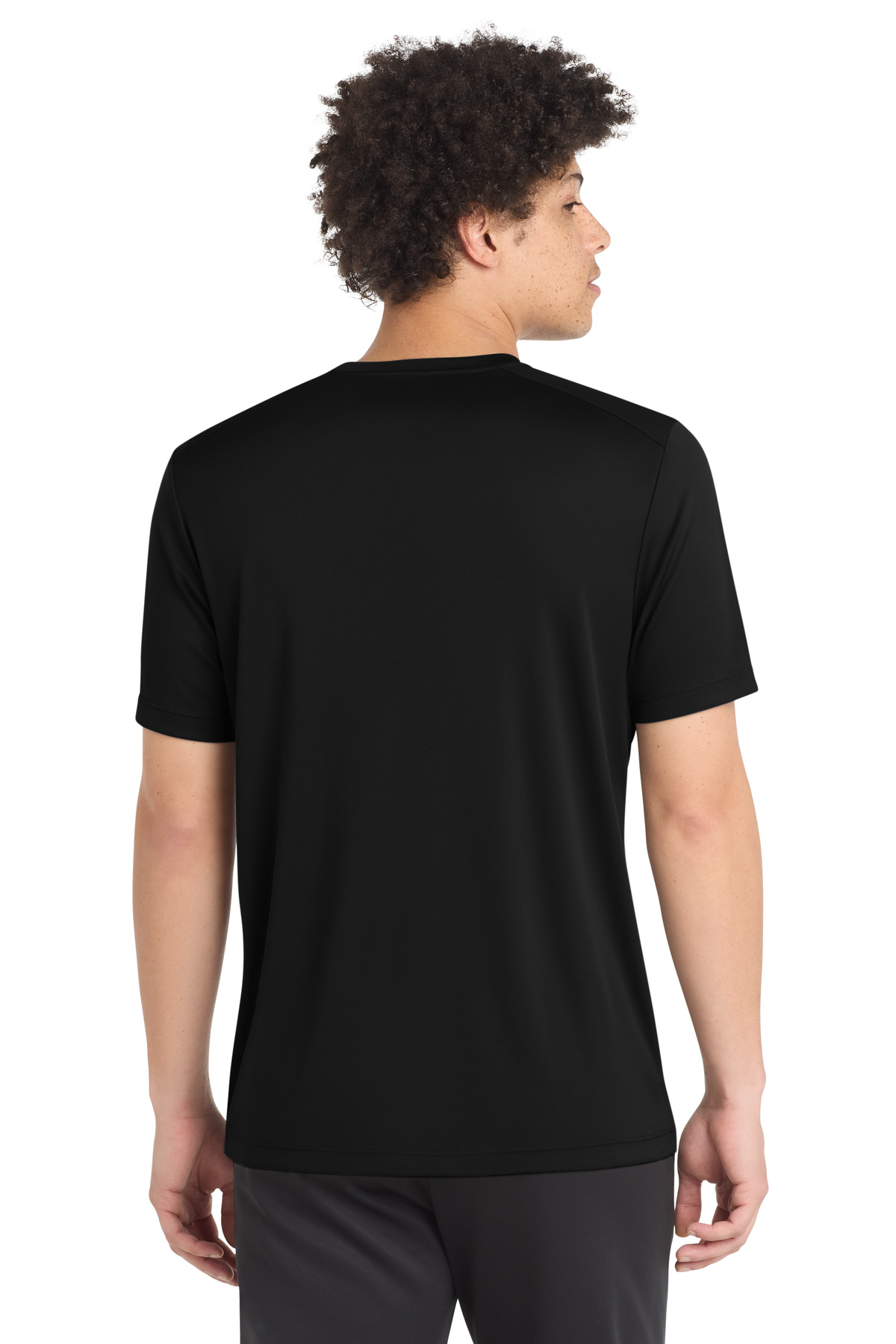 Model Back