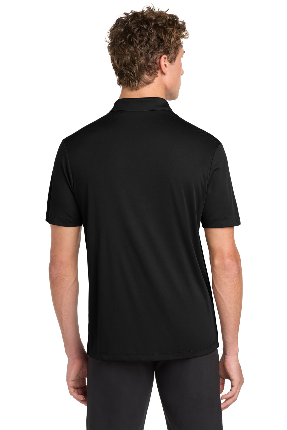 Model Back
