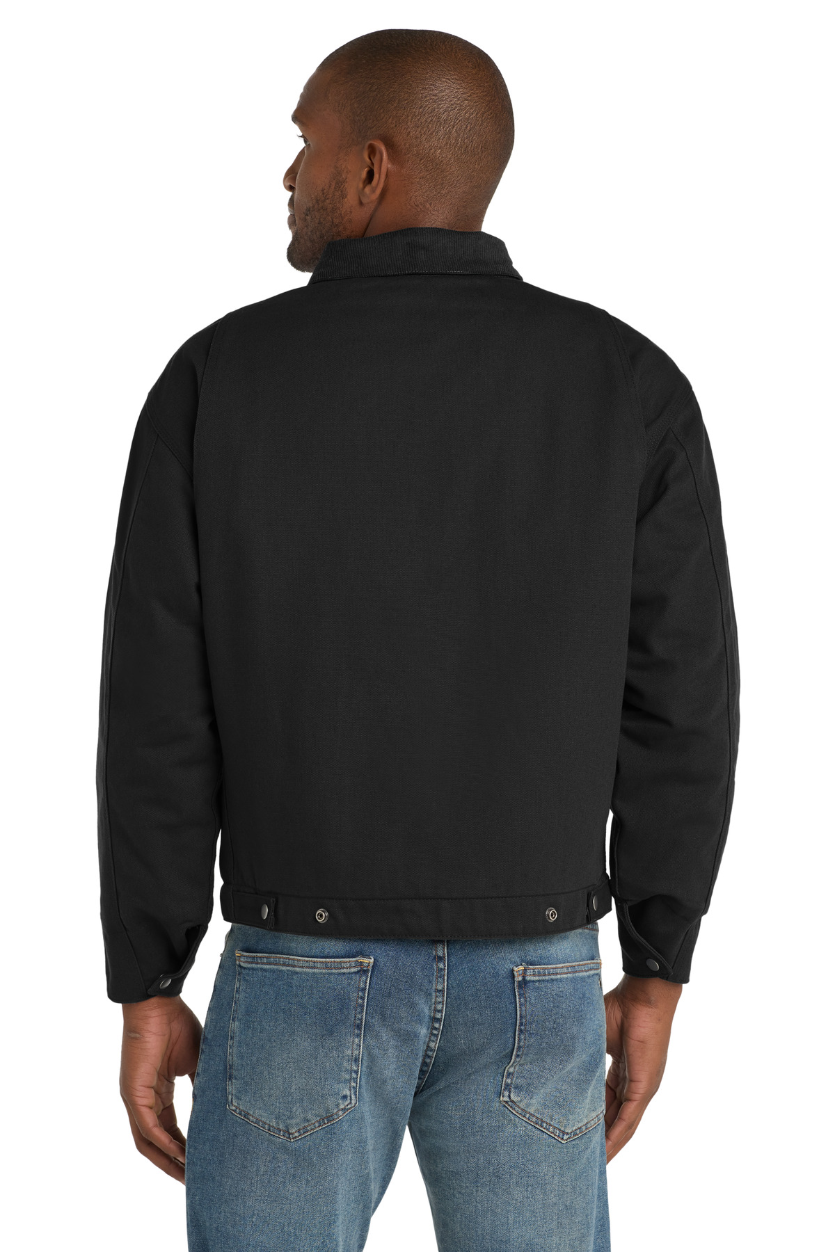 Model Back