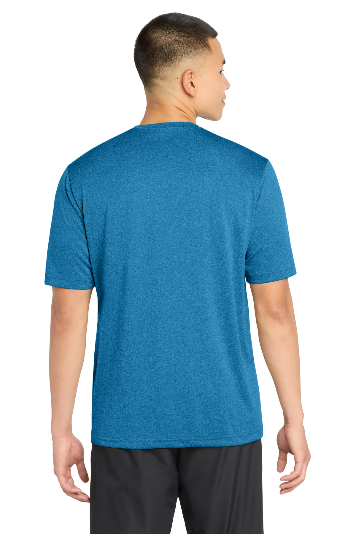 Model Back