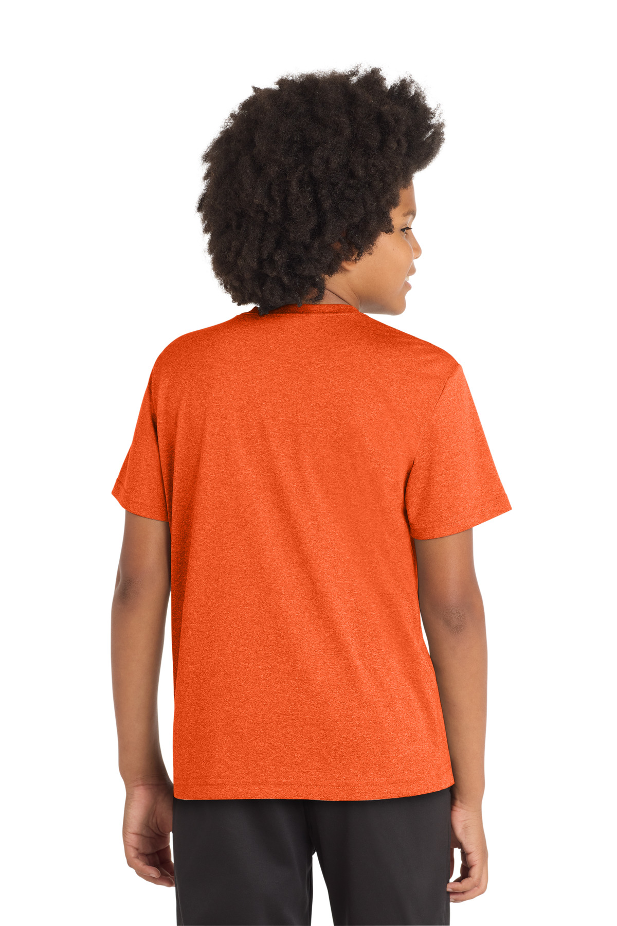 Model Back