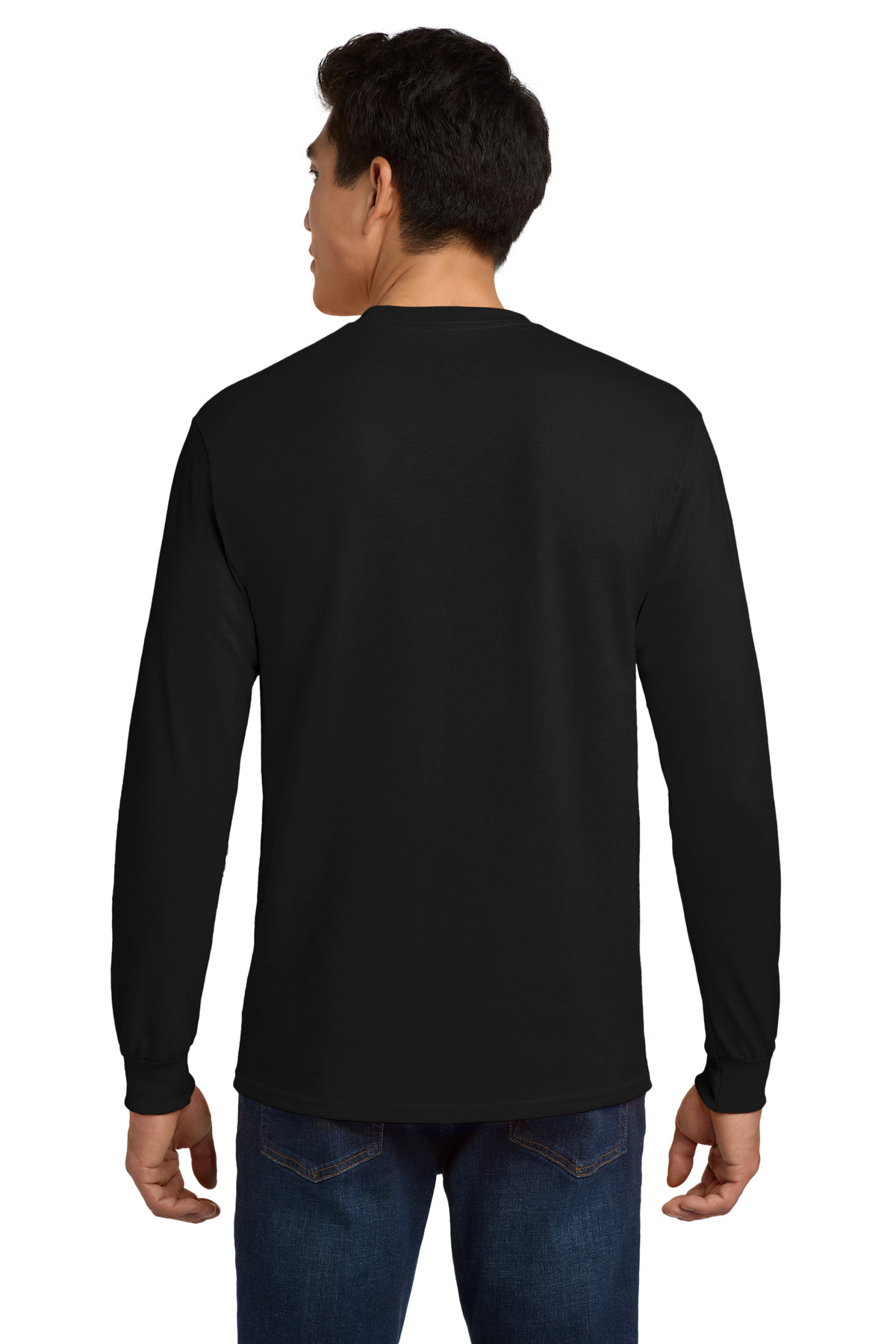 Model Back