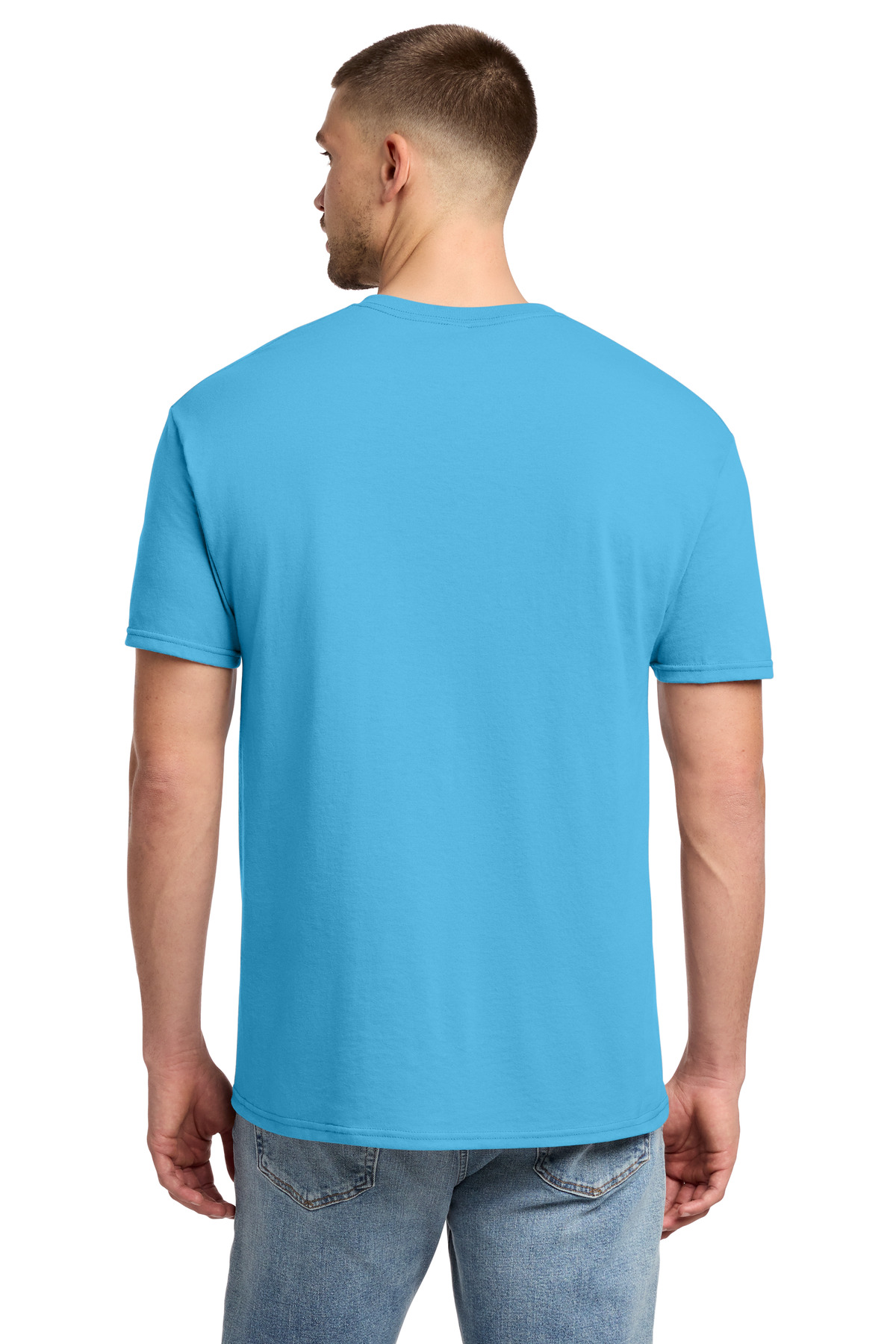 Model Back