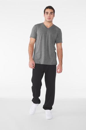 BELLA+CANVAS Unisex Triblend Short Sleeve V-Neck Te