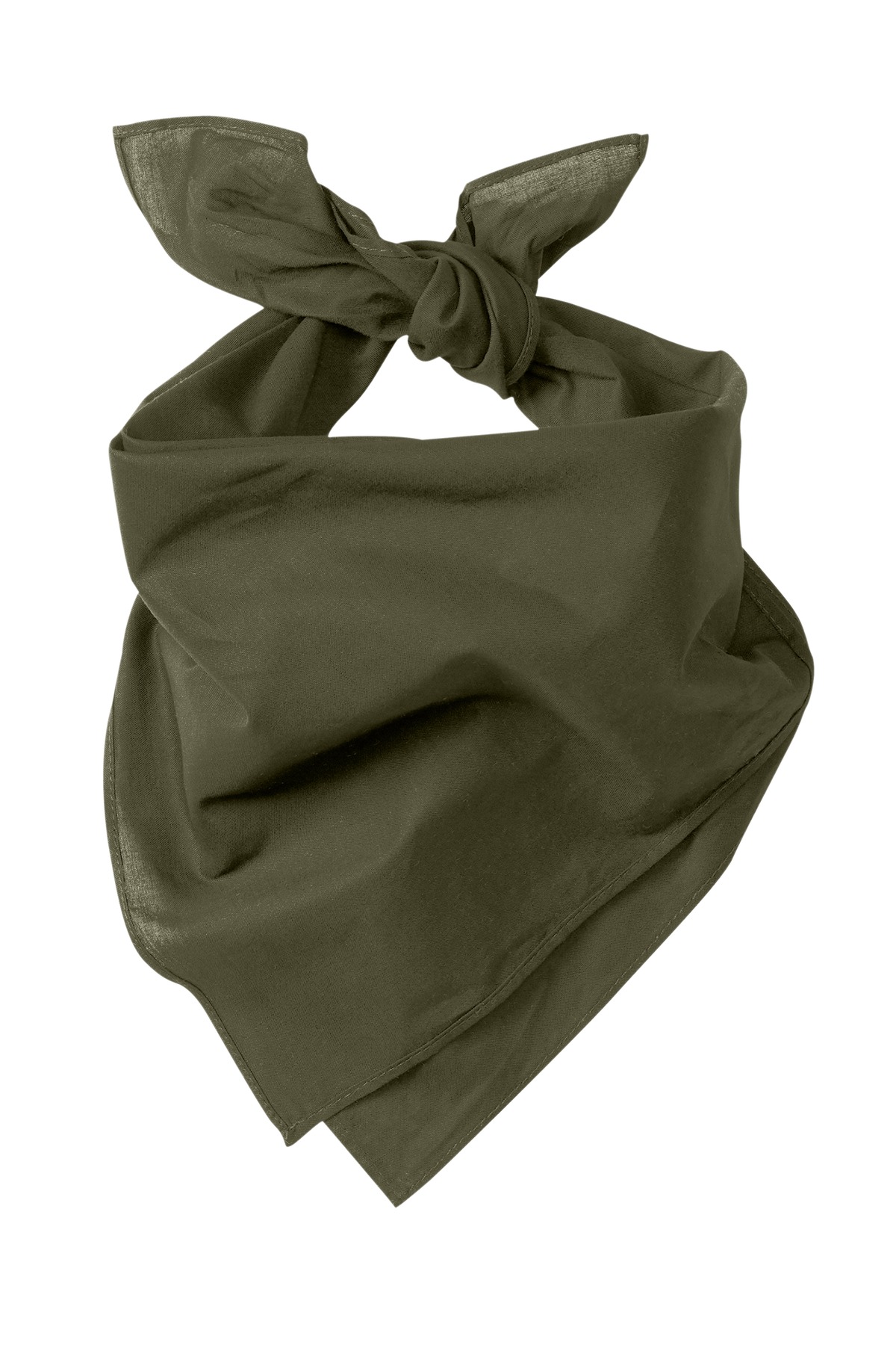 Large Bandana