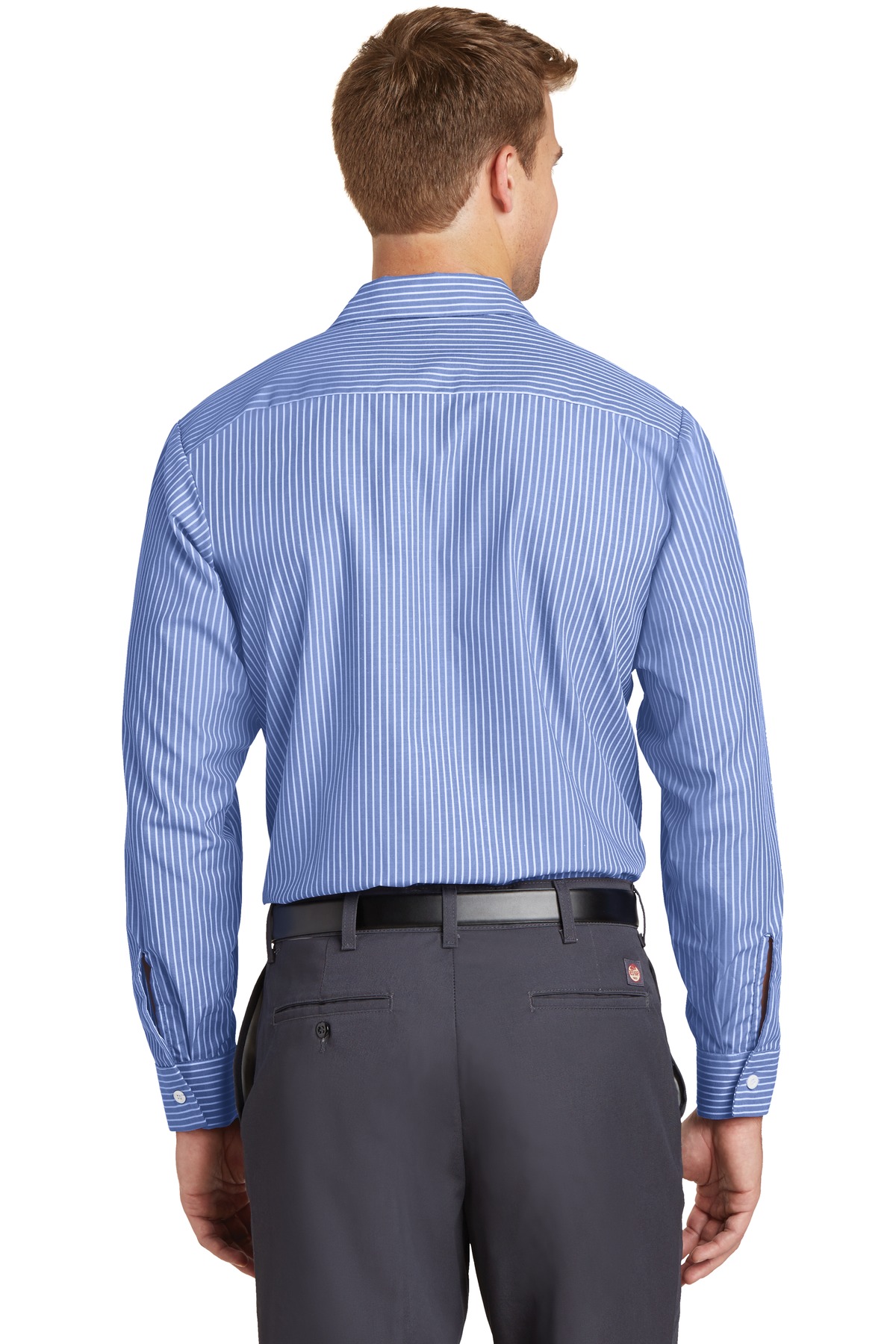Model Back