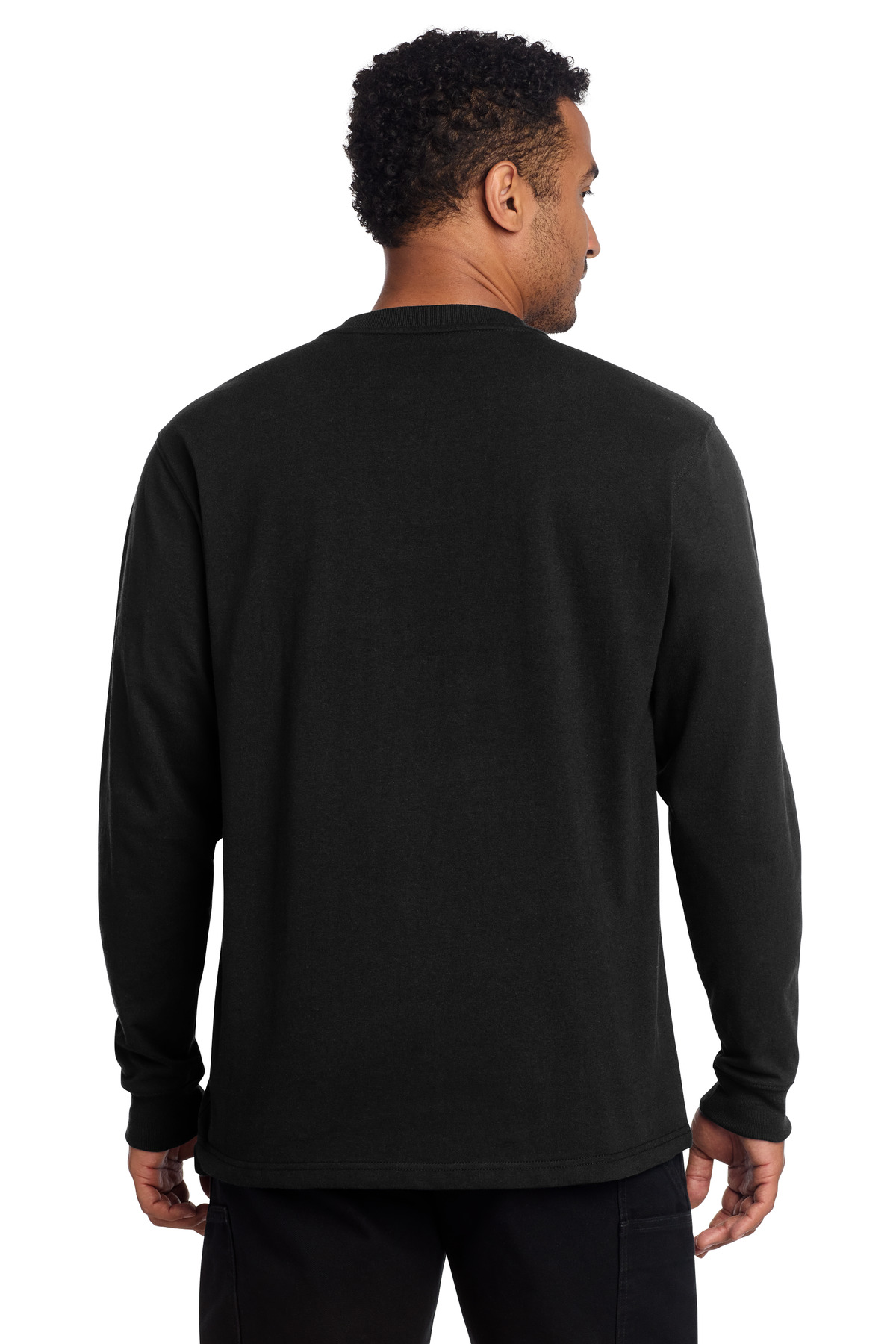 Model Back