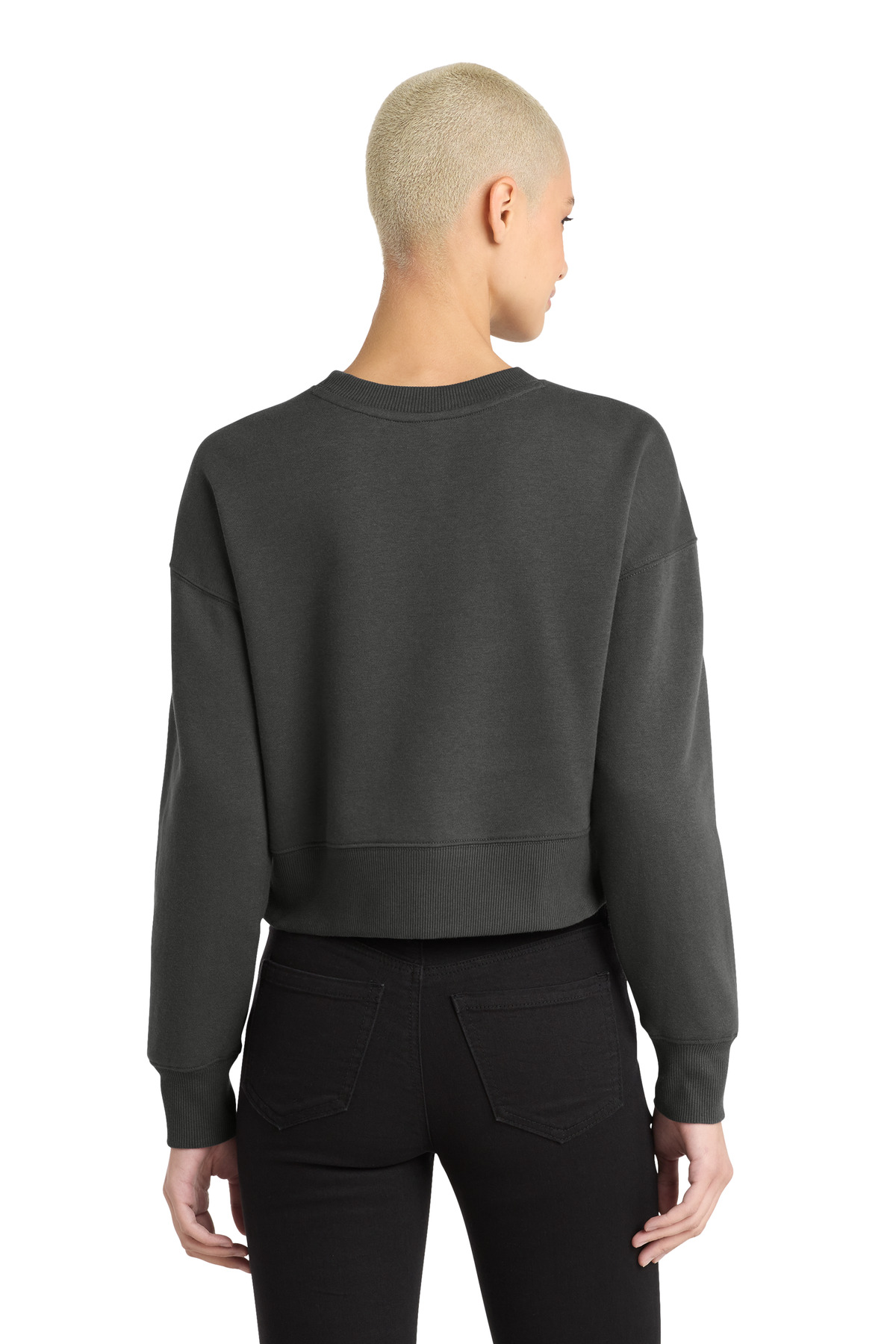 Model Back