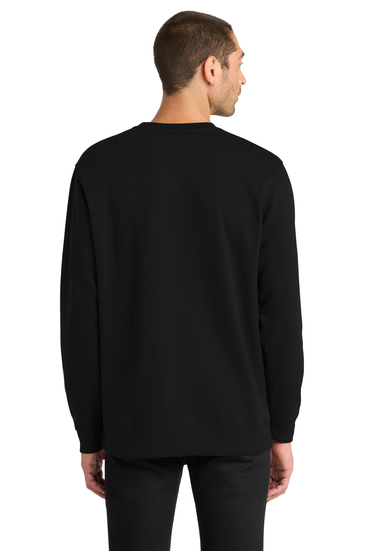 Model Back