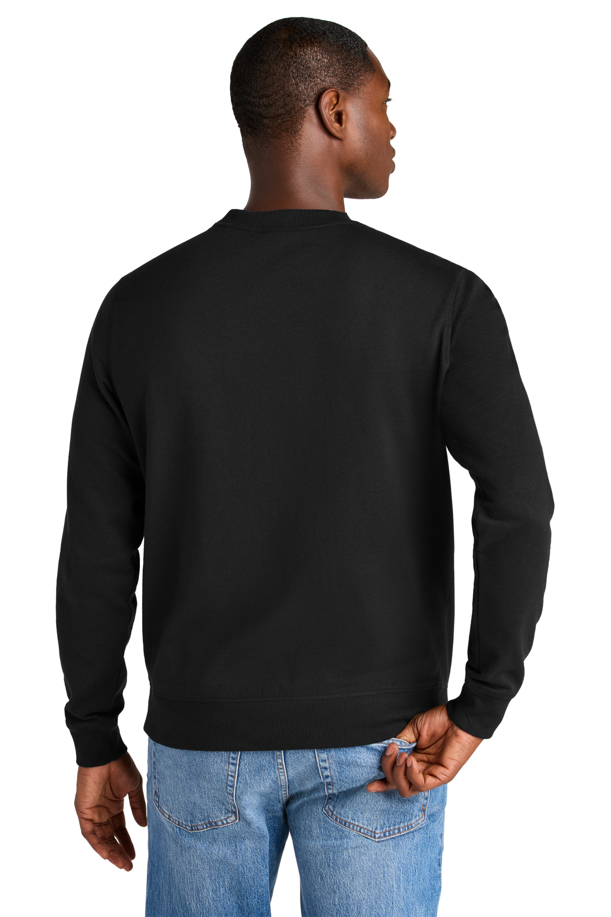 Model Back