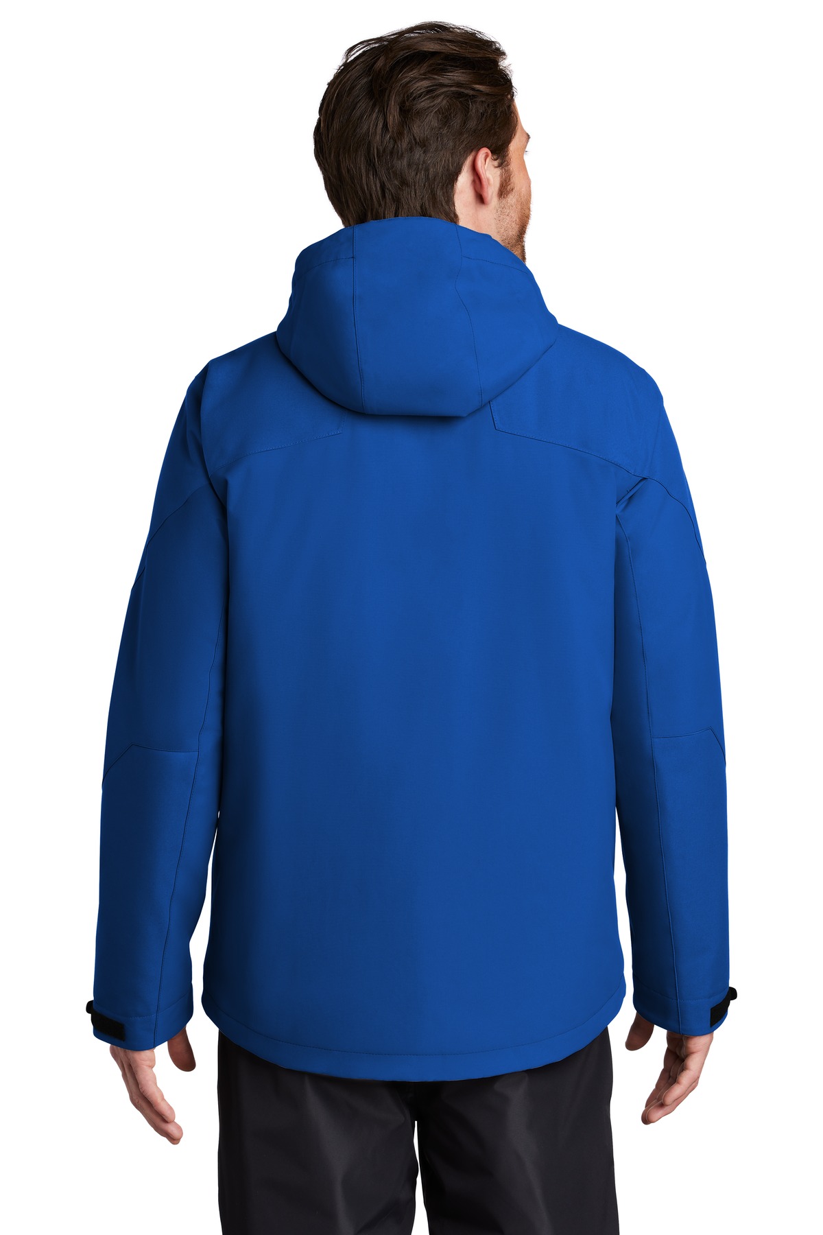 Model Back