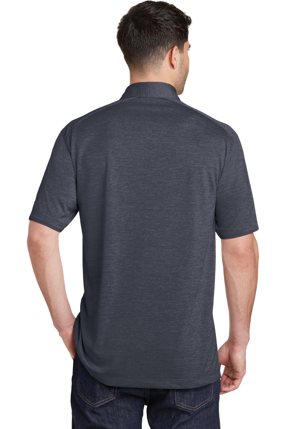 Model Back