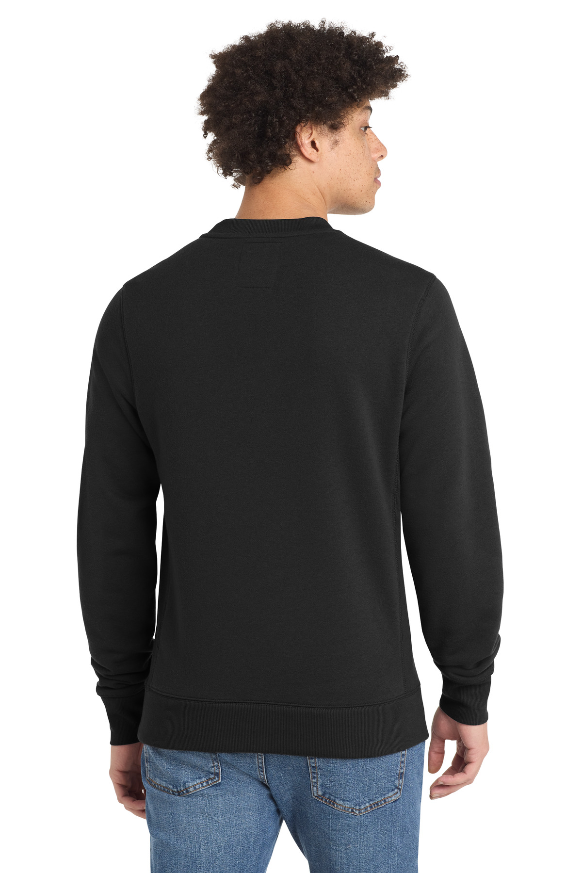 Model Back