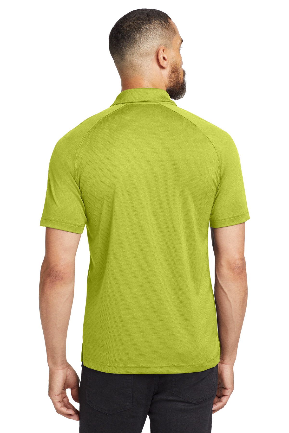 Model Back