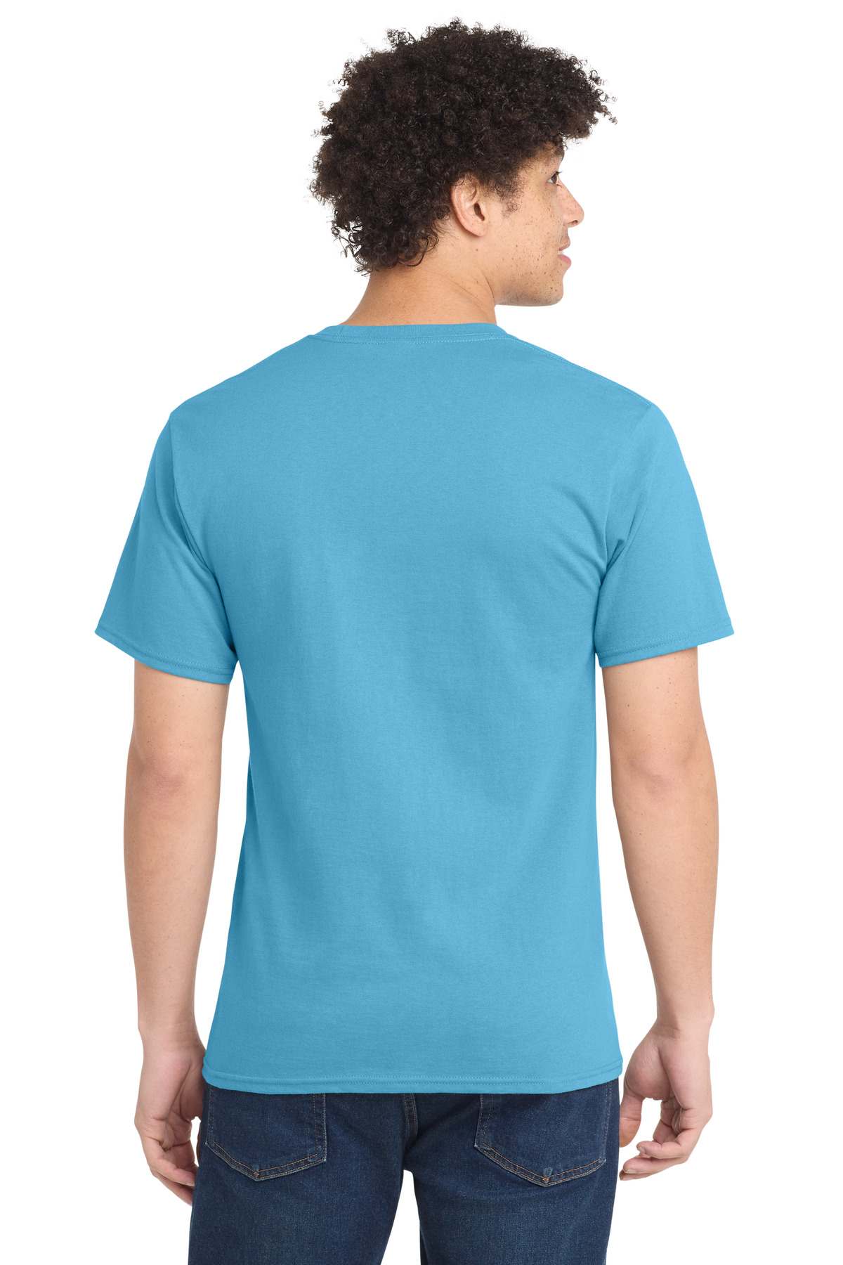 Model Back