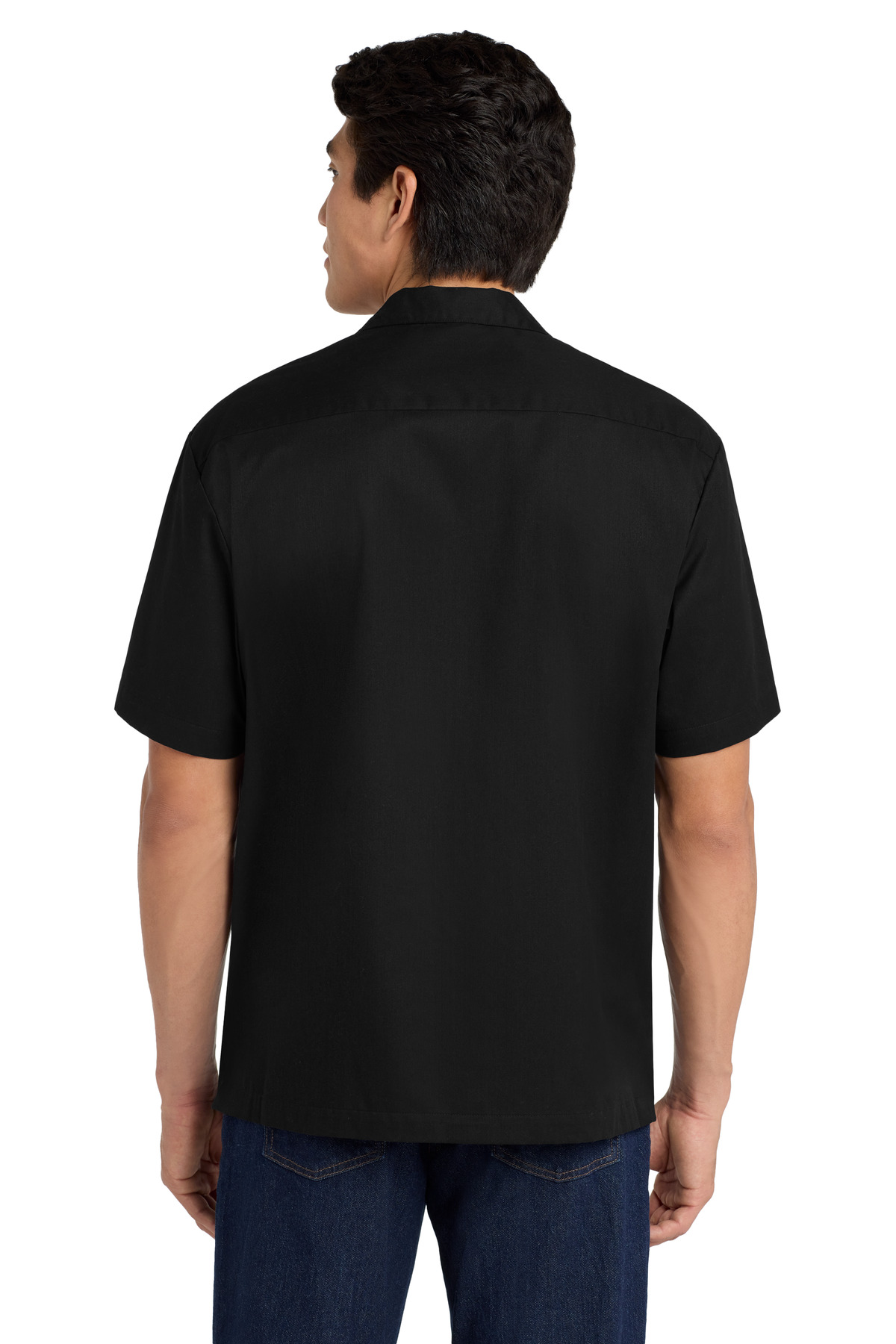Model Back