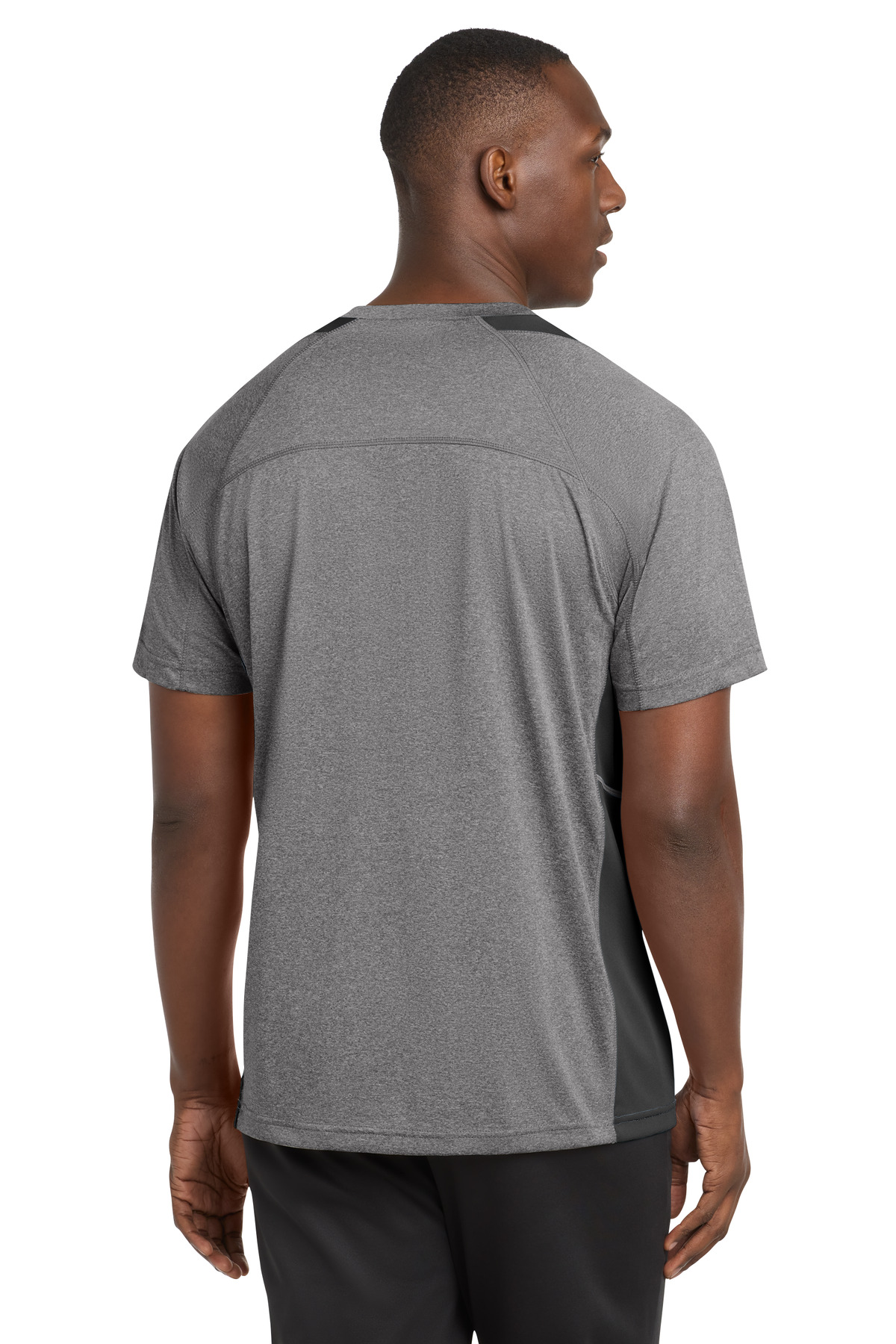 Model Back