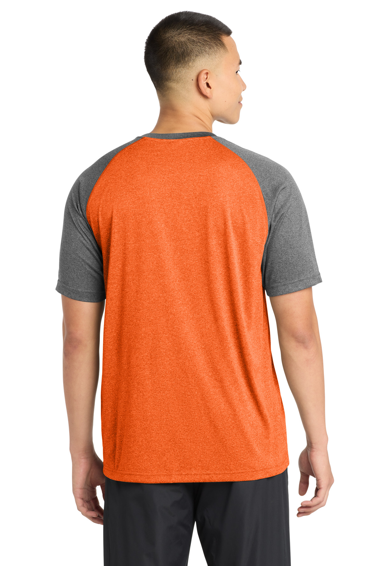 Model Back