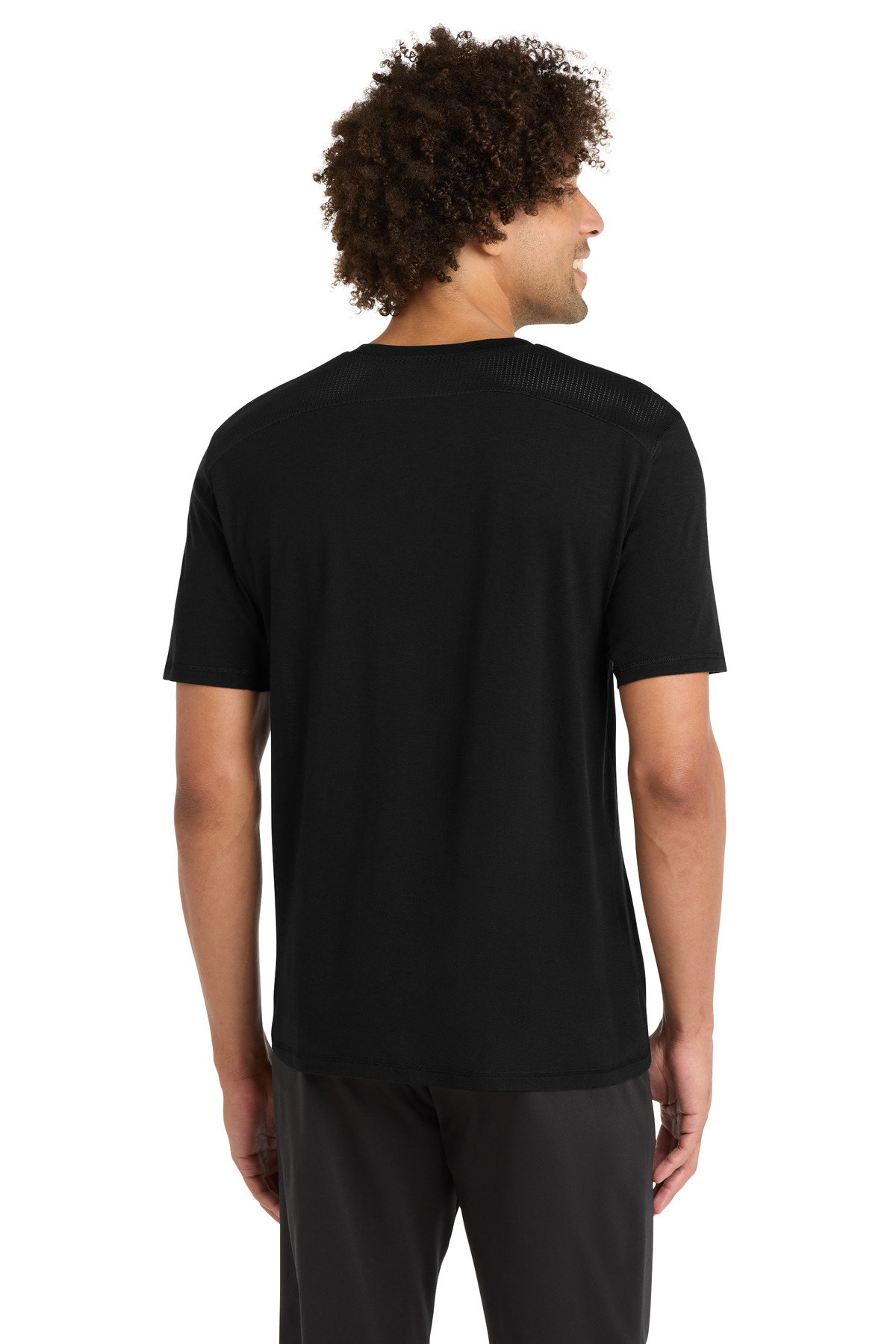 Model Back