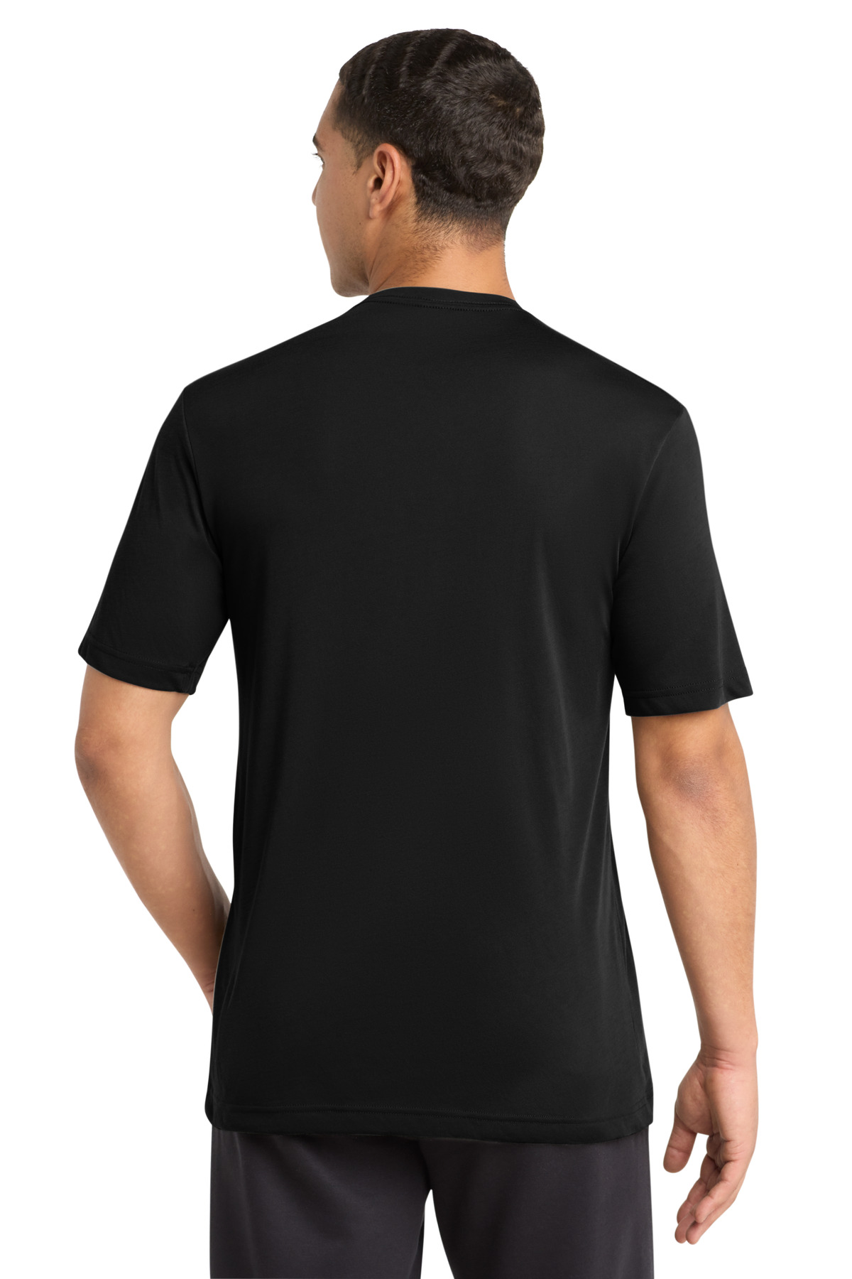 Model Back