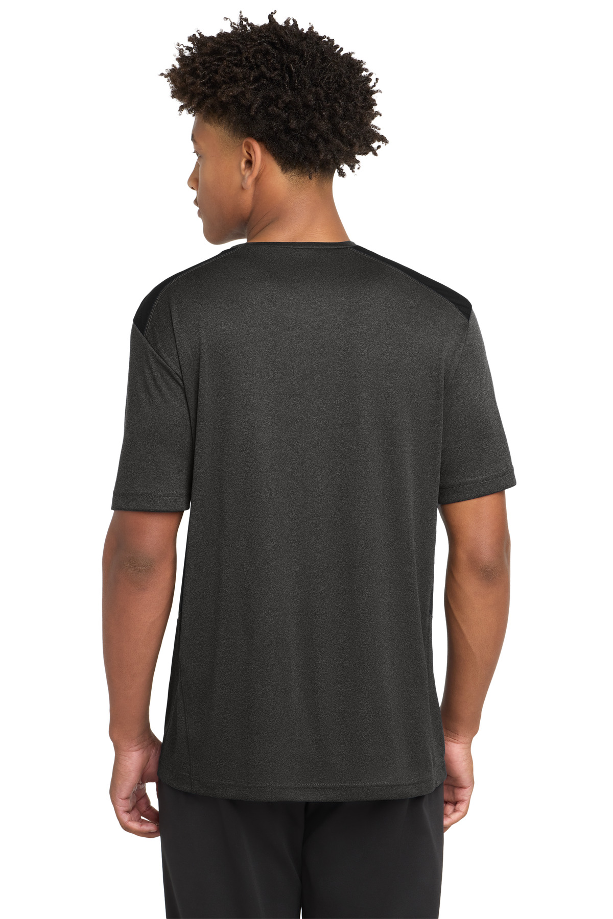 Model Back