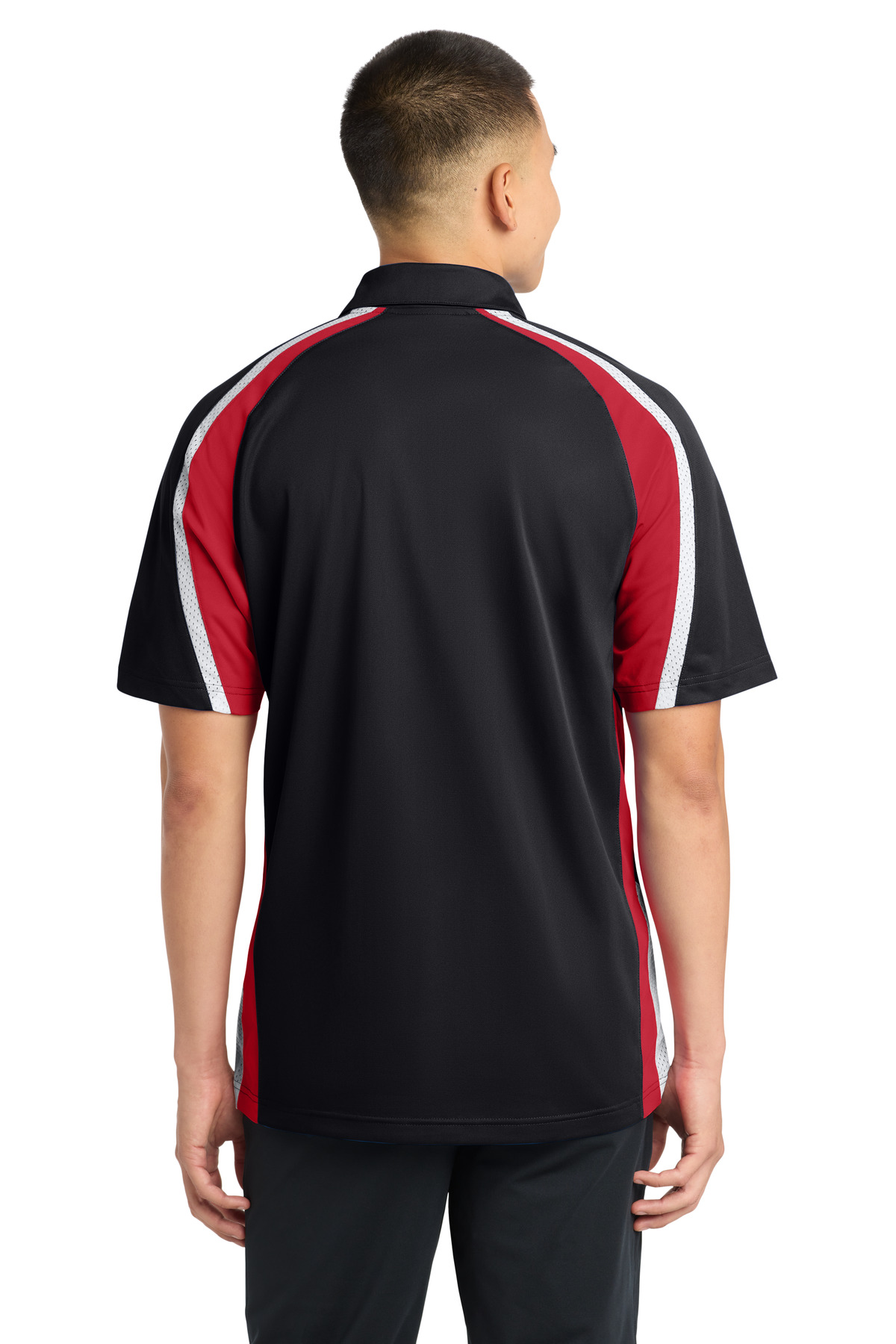 Model Back