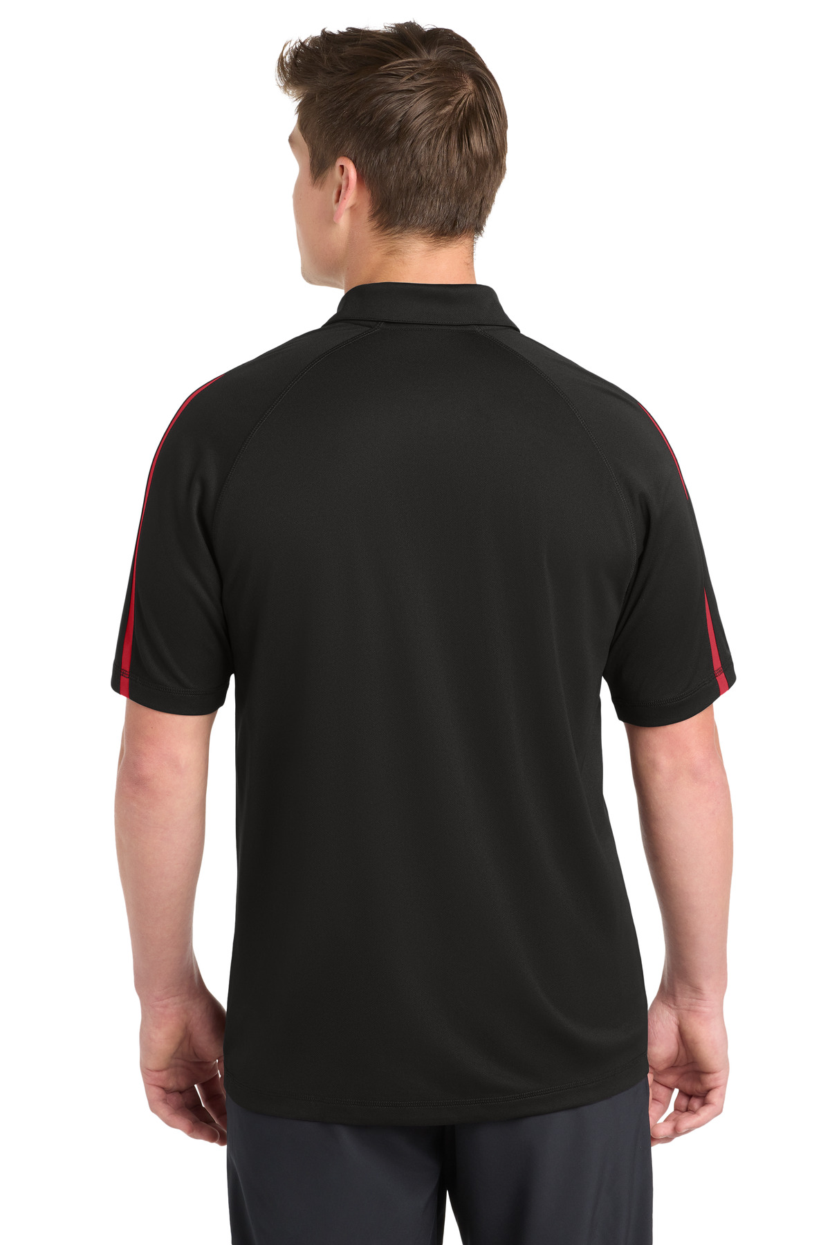 Model Back