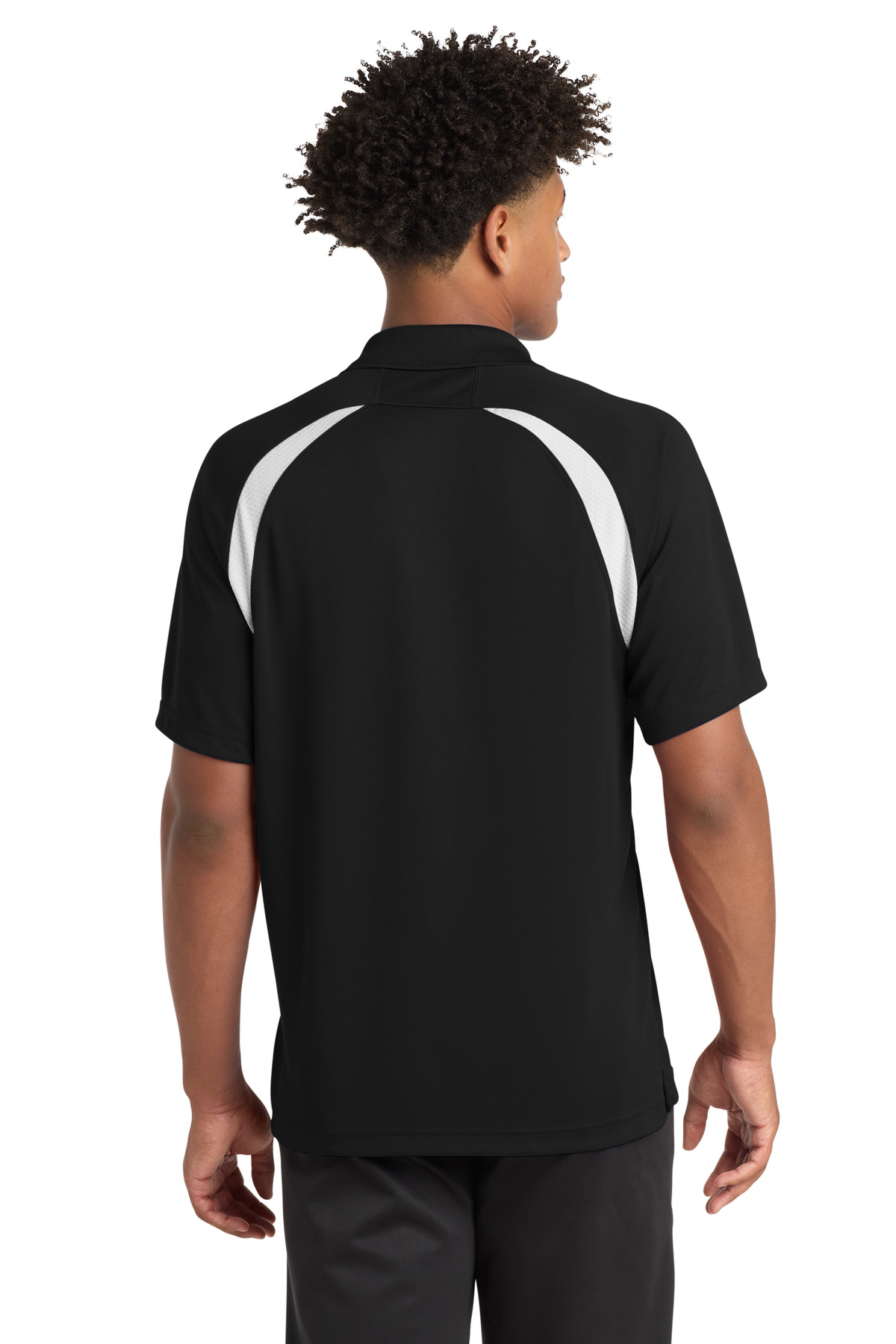 Model Back