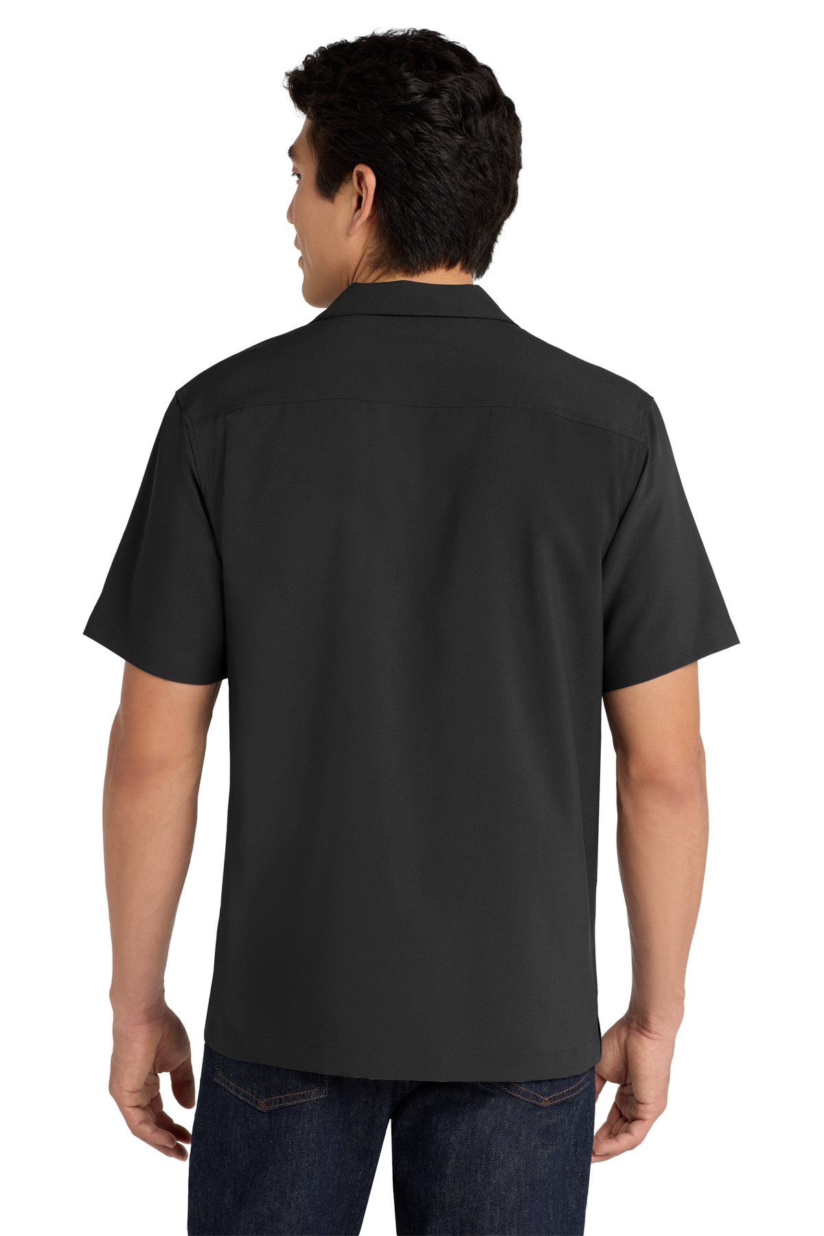Model Back