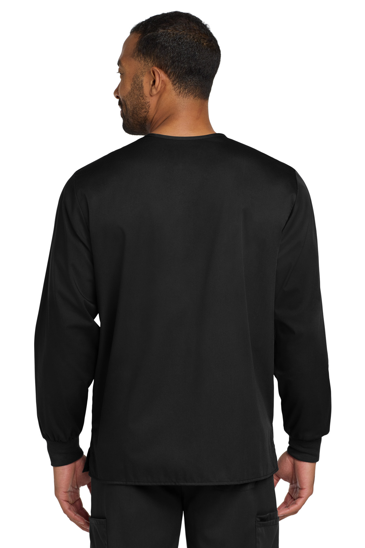 Model Back