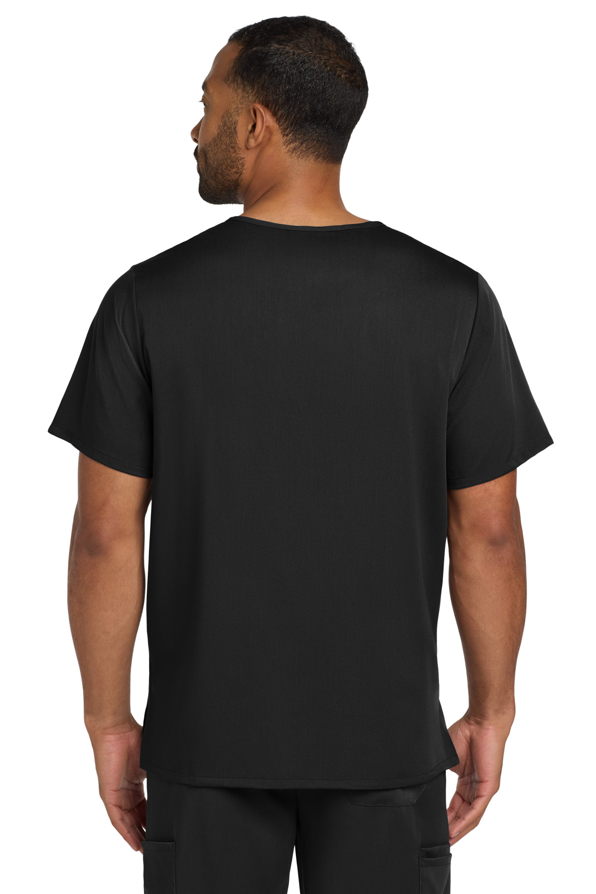 Model Back